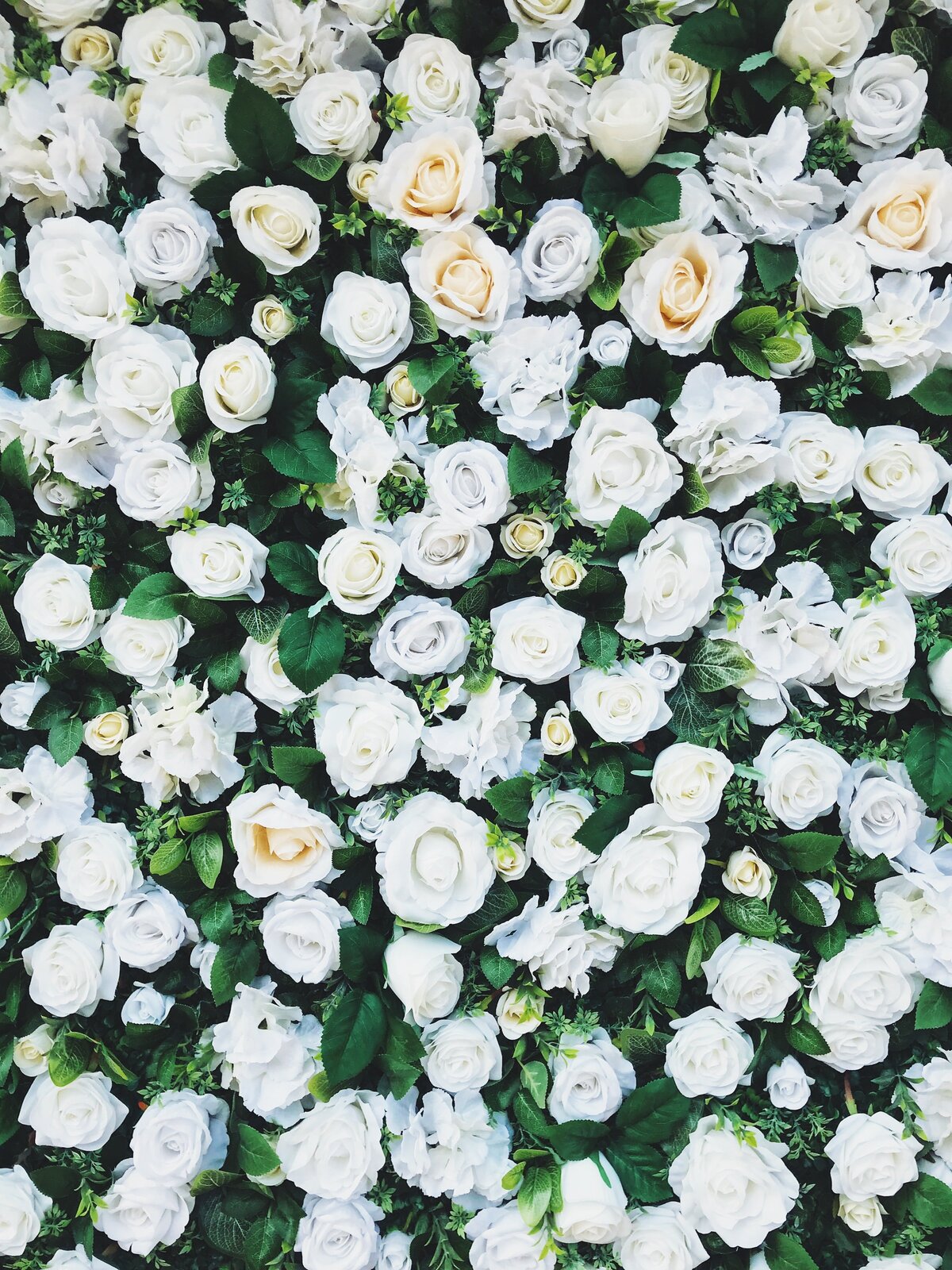 ed-robertson-sqLVUTFtxVs-unsplash