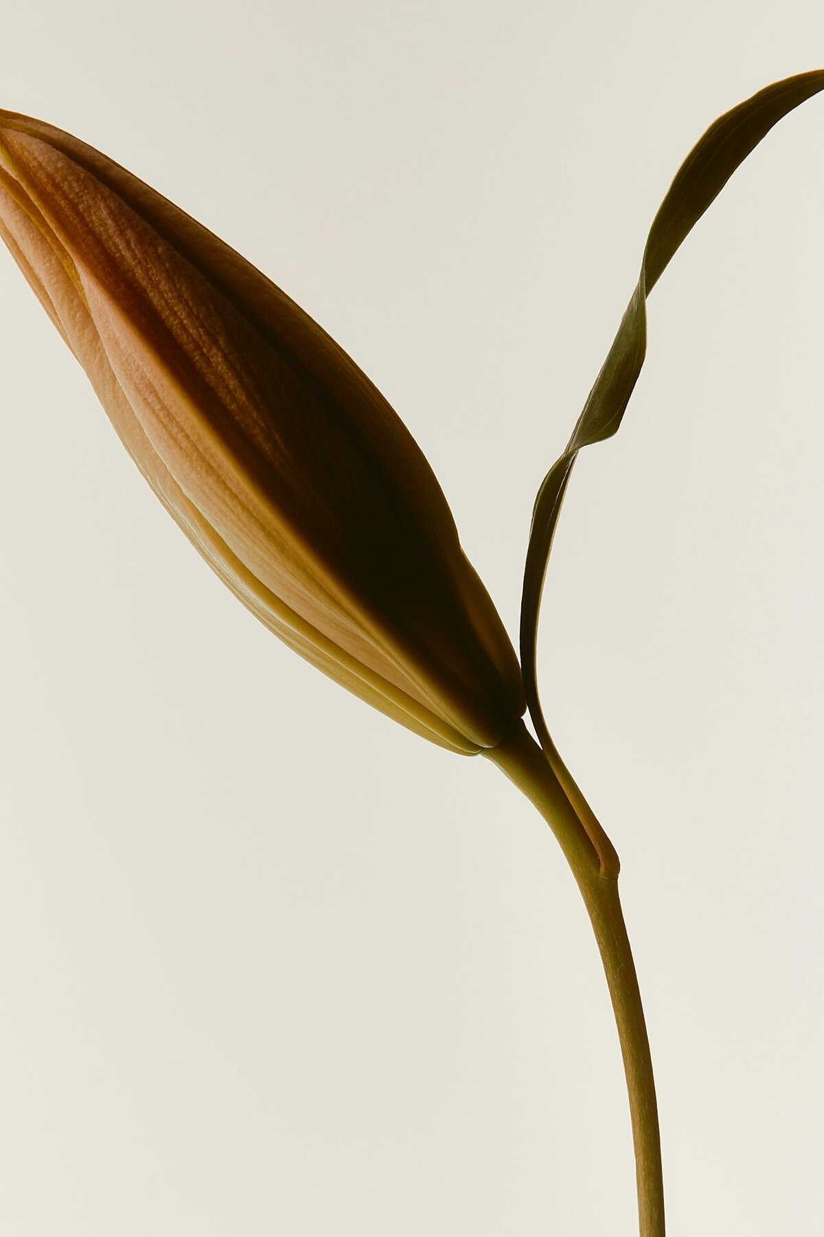 DTS_OBJECTS_Daniel_Farò_Photos_ID7369