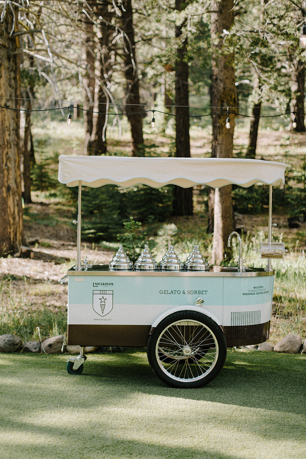 Lake-Tahoe-Wedding-Planner-Dancing-Pines-83