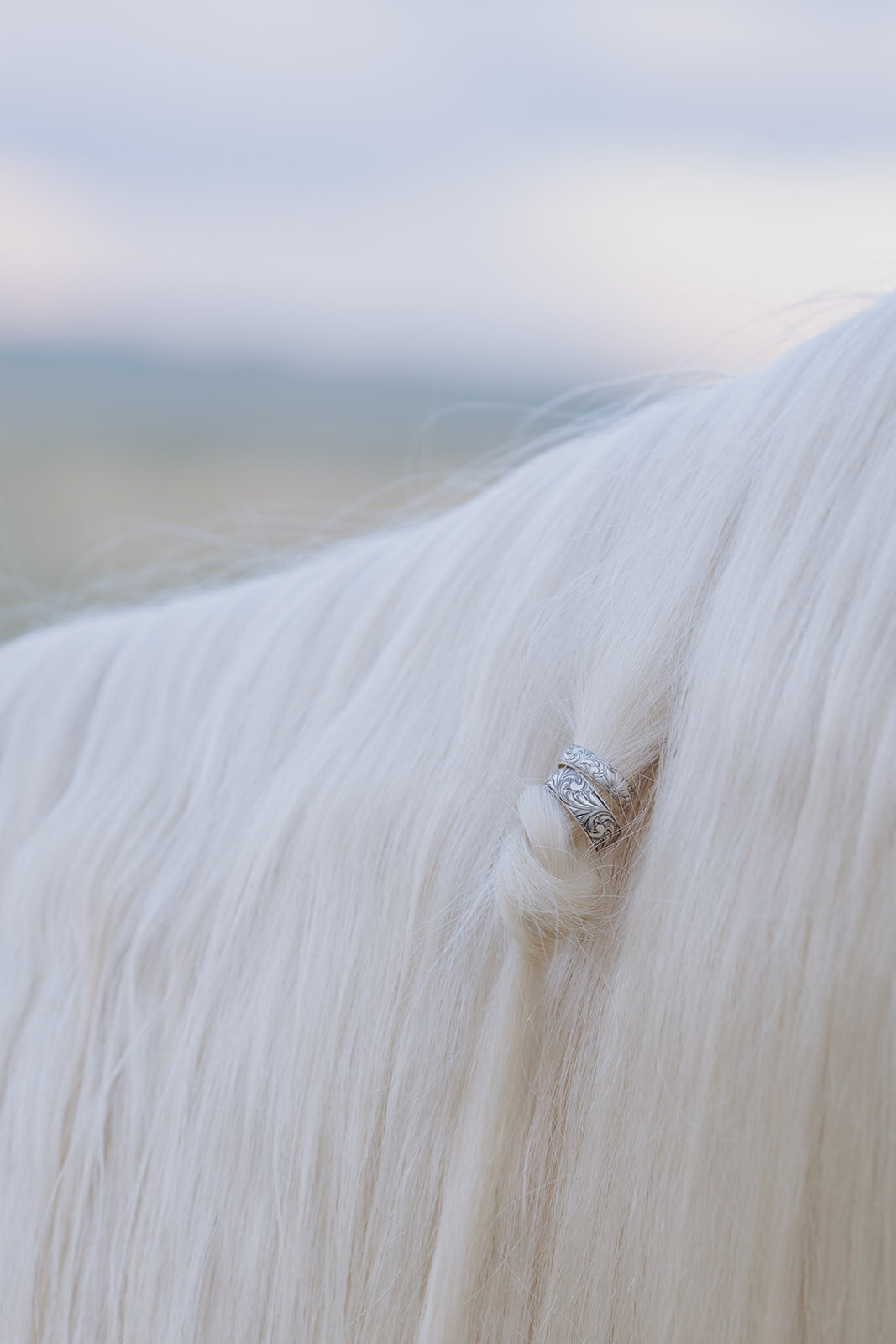 Carly-Patrick-Sheridan-Wyoming-Elopement-305