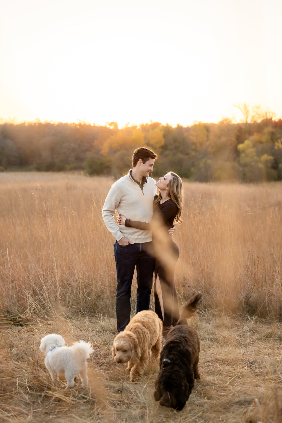 an engaged couple gives eachother a hug as their three dogs run around them in a grassy field with soft sunlight