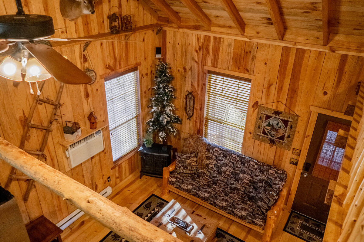 wolf-pen-gap-cabin-timber-wolf-5
