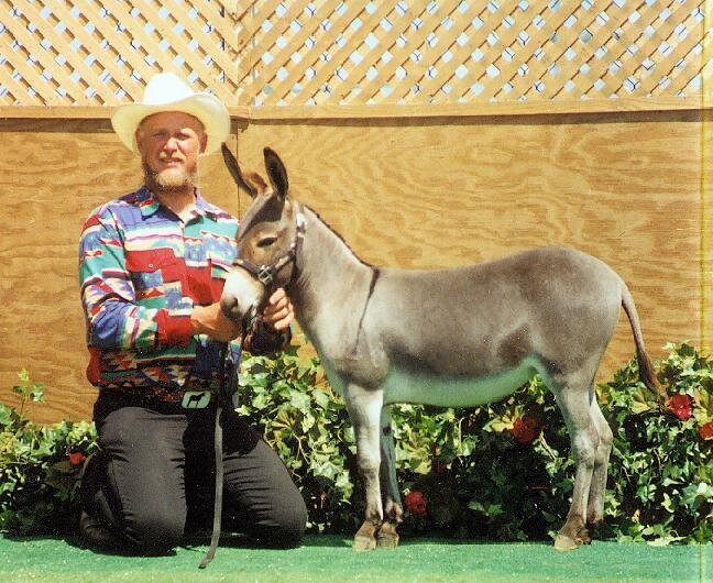 Cobella  Grand Champion NE State Fair 1997