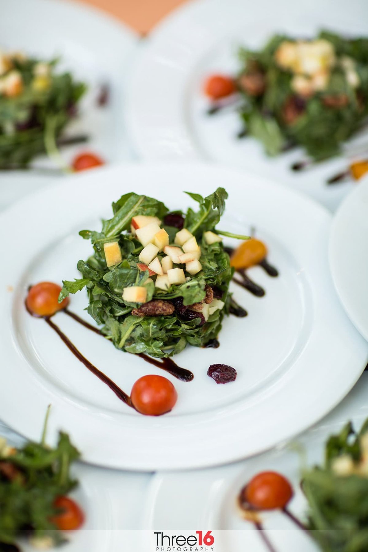Beautifully designed plate of salad by 24  Carrot Catering