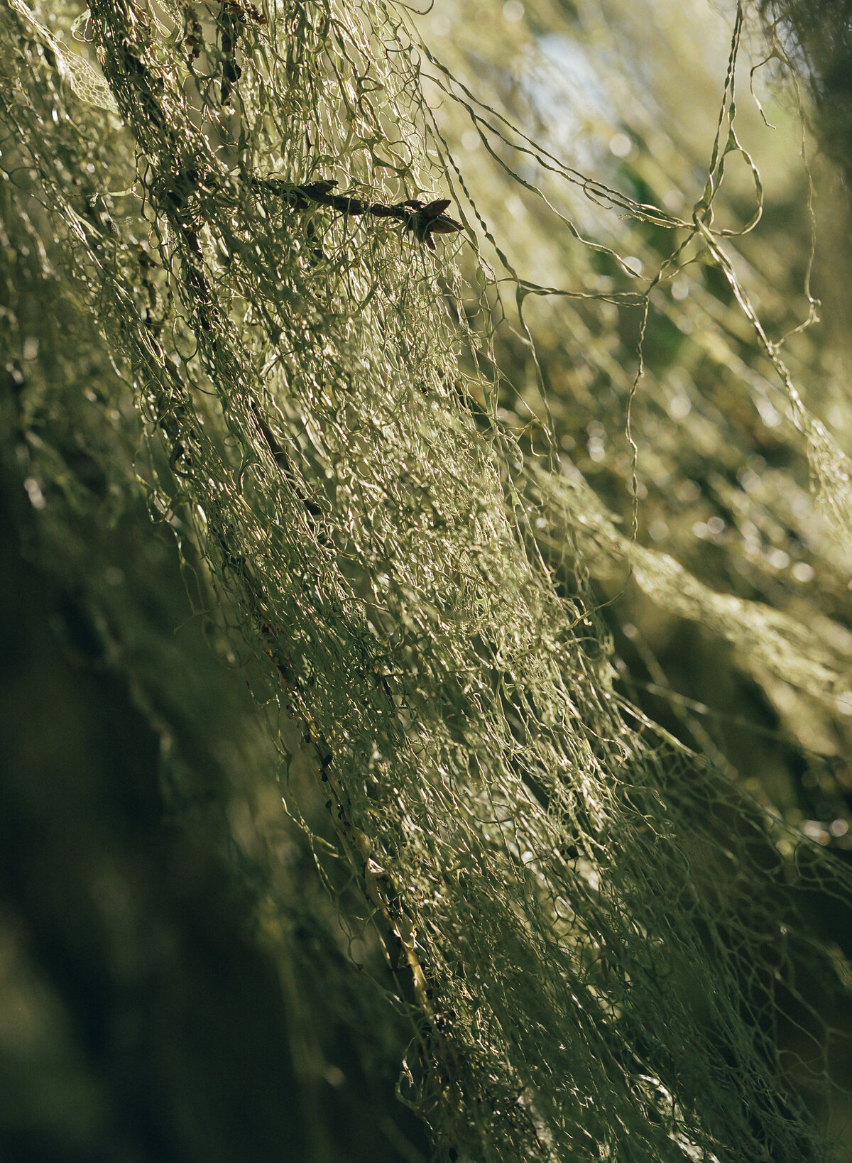 DT-2025-Celine & Gabe Highlights-95