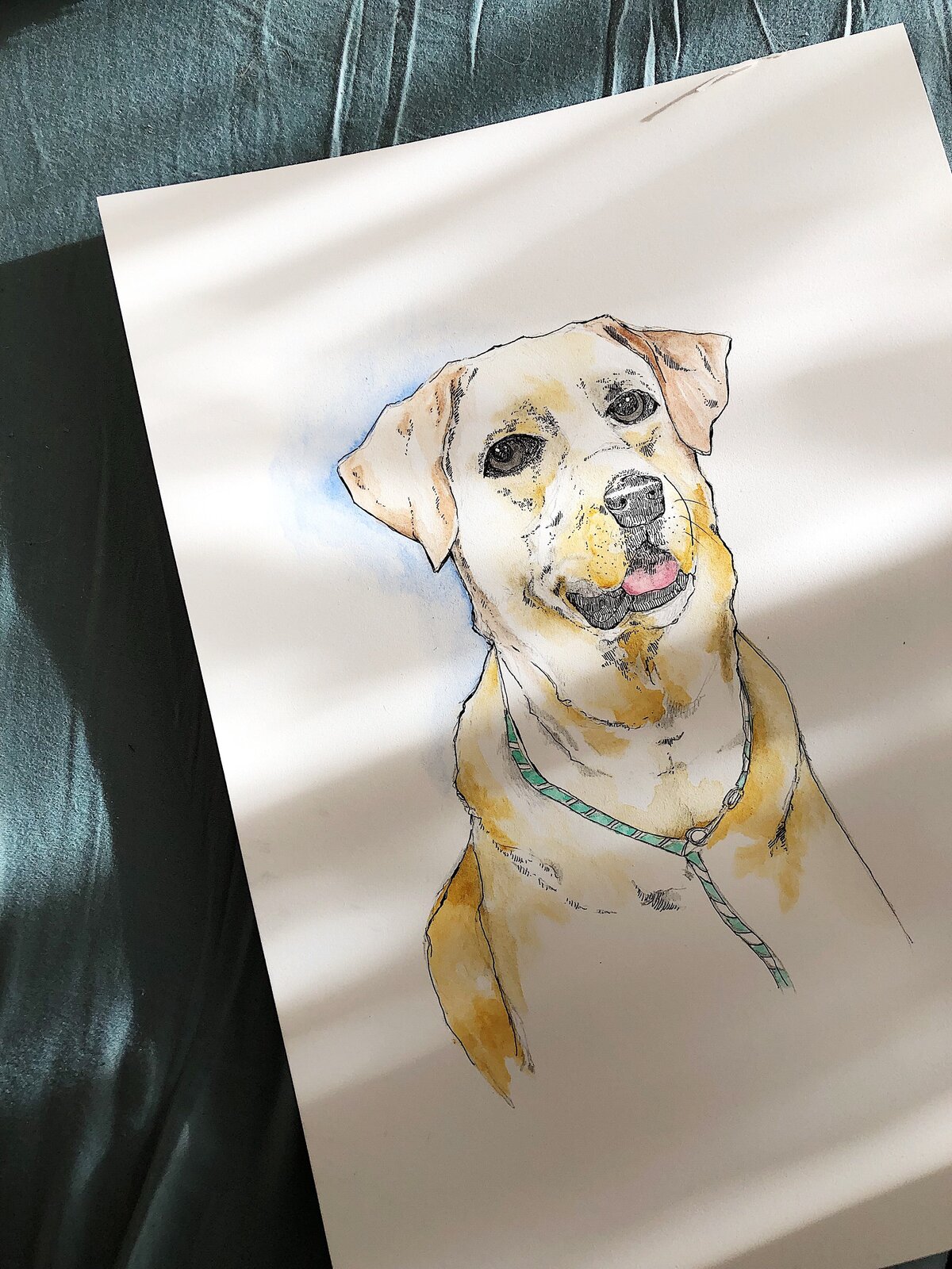 Custom Pet Portraits | Esmé Weijun Wang