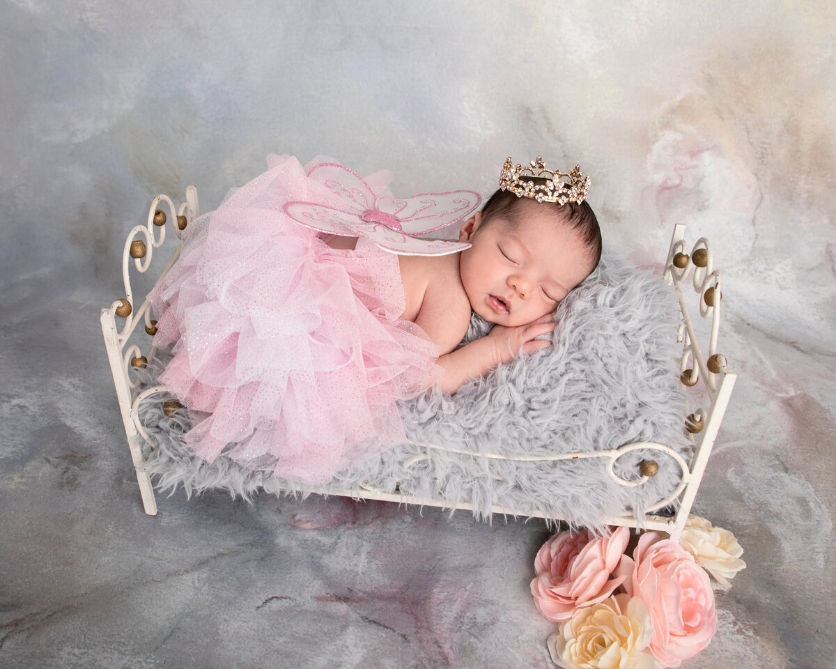 Dimensions Photography--31
