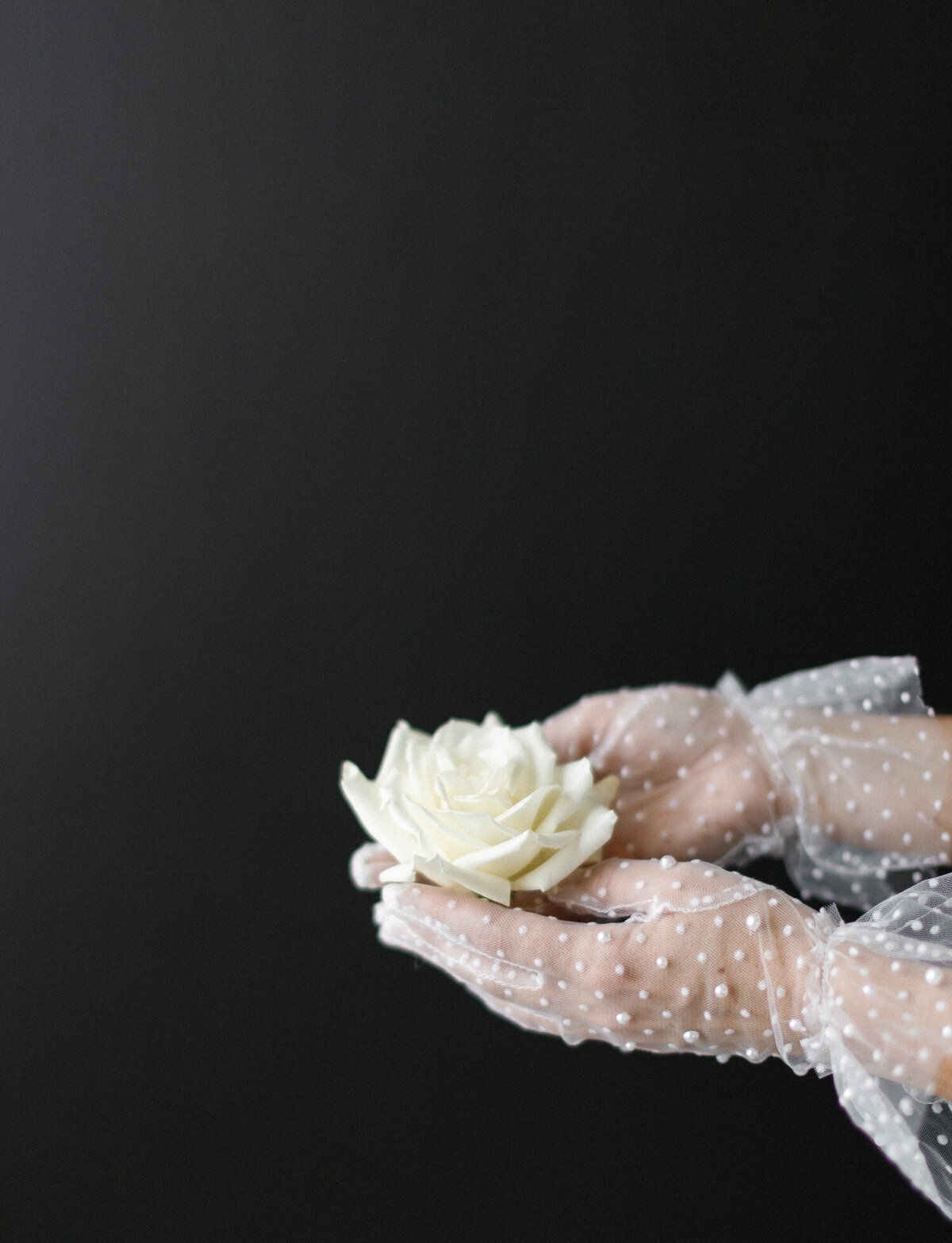 hands in pearl-studded tulle gloves hold a single white rose, florist branding photos in Michigan