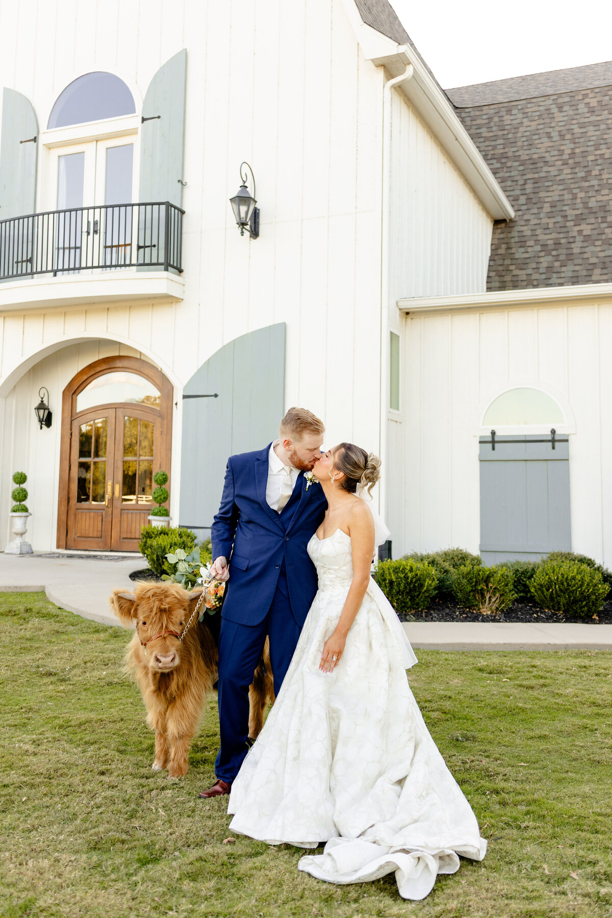 The French Farmhouse Wedding Highland cow