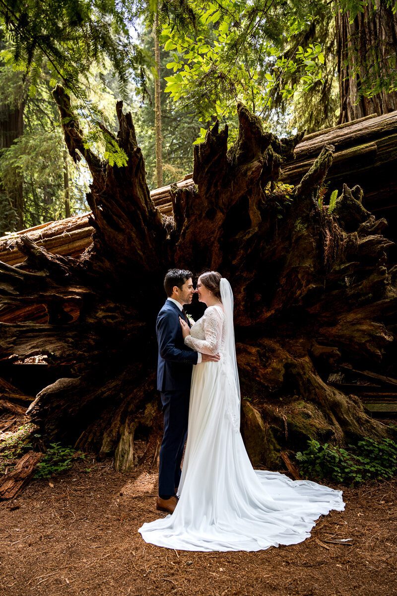 Captivating portraits of a newlywed couple amidst the lush greenery and towering trees of Jedediah Smith Redwoods State Park, showcasing the beauty of a Northern California wedding.