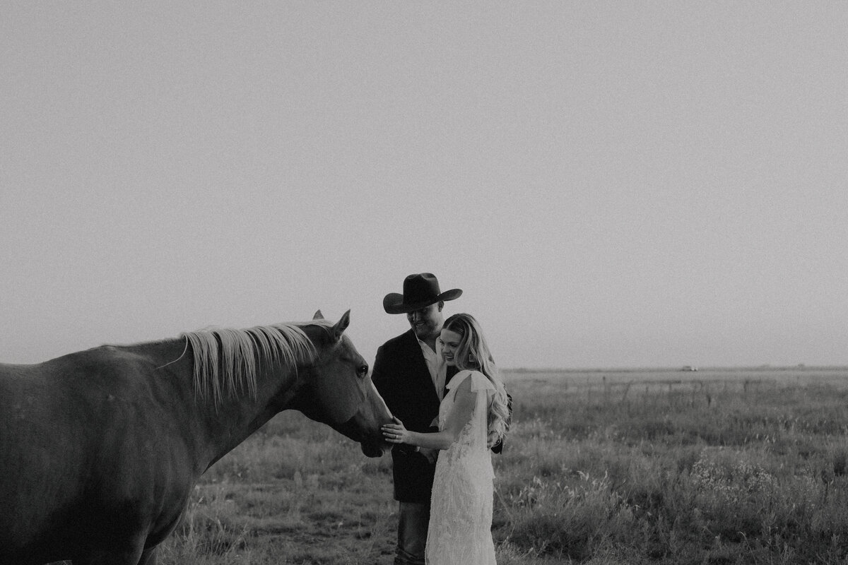 bride and groom petting their horse at their ranch wedding