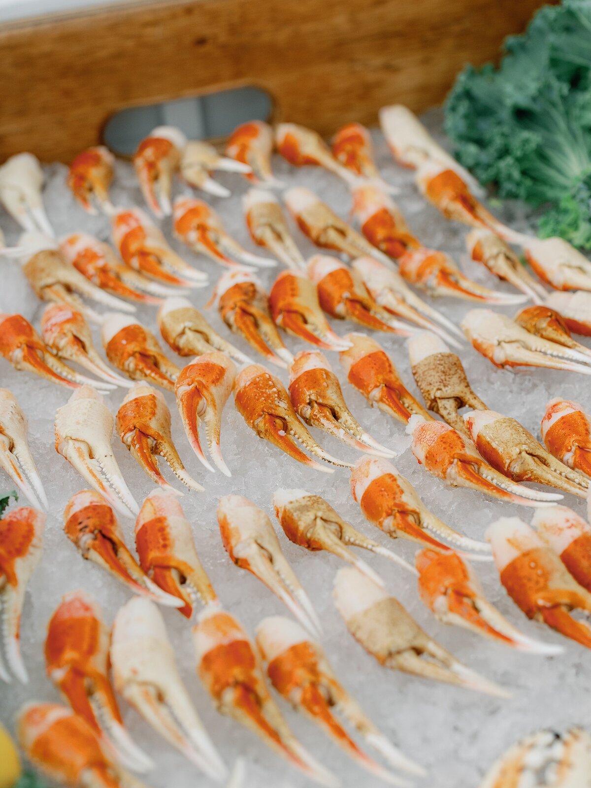 vida-events-wedding--king-family-vineyard-photographer-the-hancocks__1097