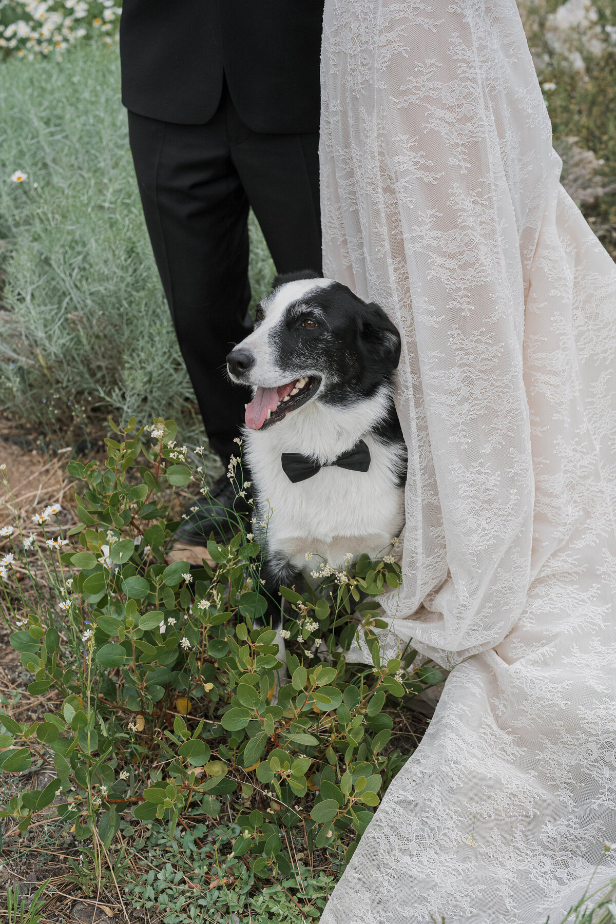 Tahoe Wedding Photography 091