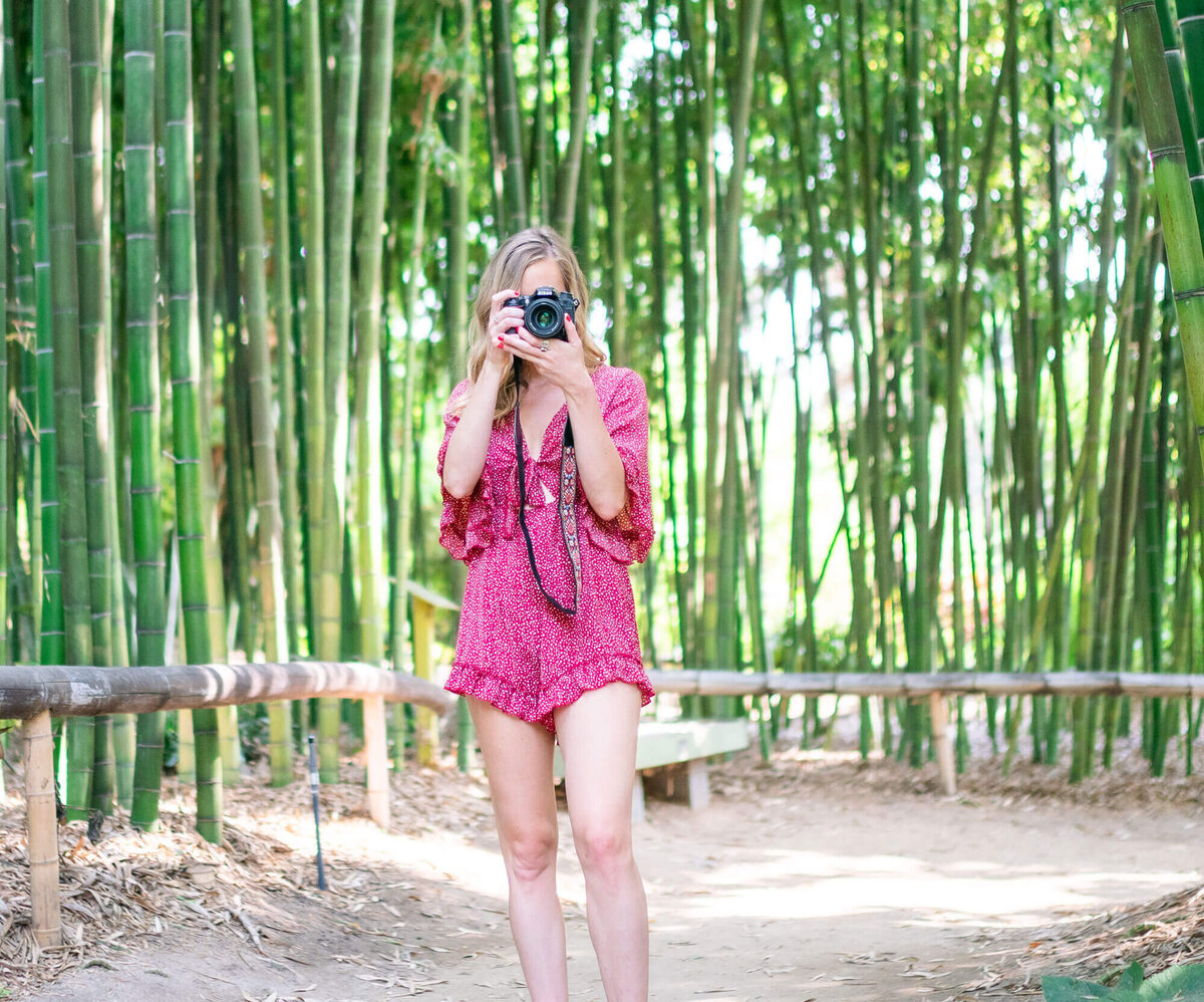 Designer taking photos with a digital camera while exploring a bamboo forest