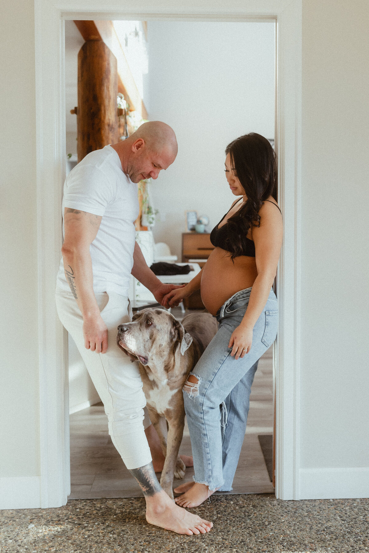 sunshine-coast-in-home-intimate-maternity-photographer-with-dogs-lowres_5