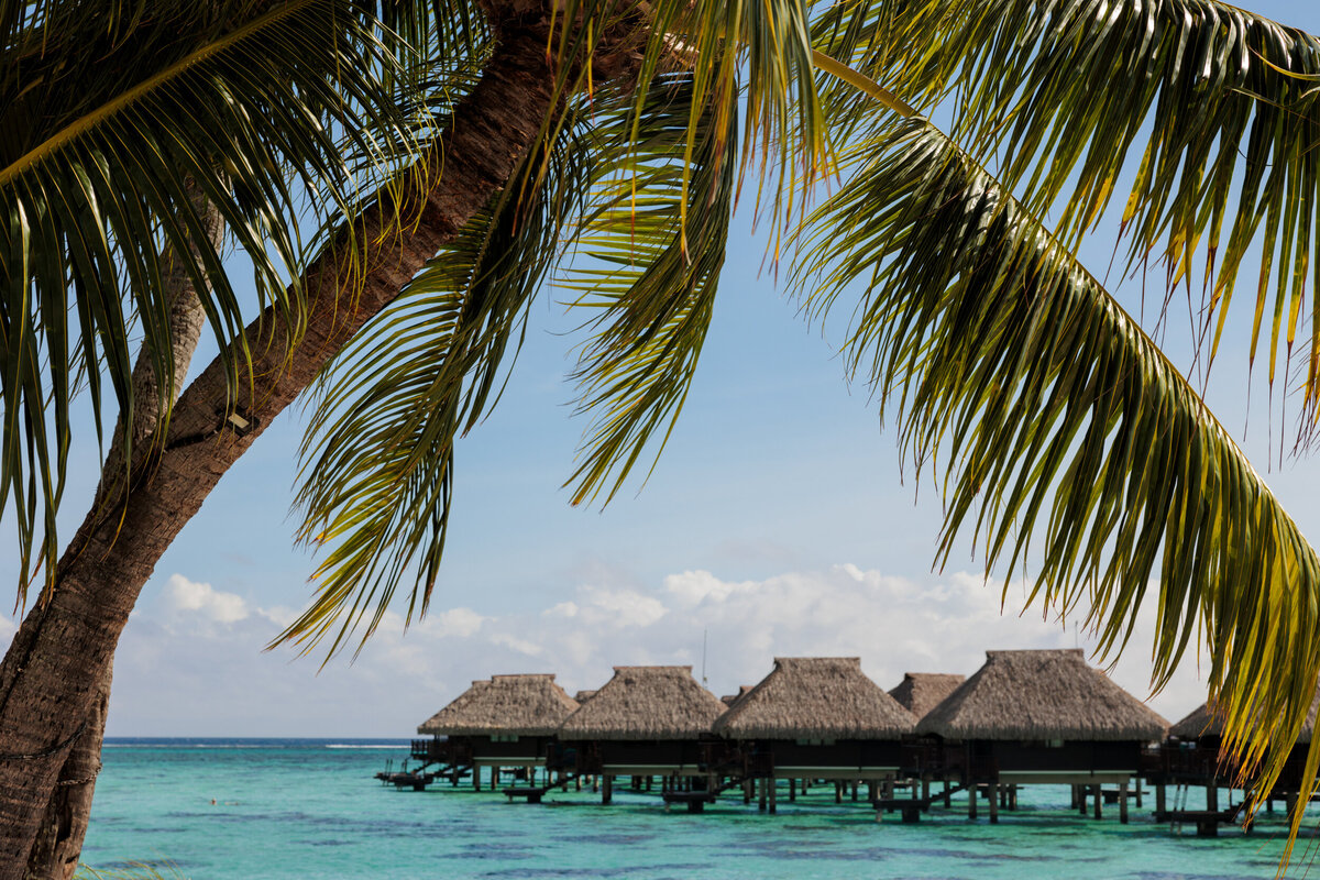 hilton-moorea-tahiti-elopement-over-the-water-bungalow