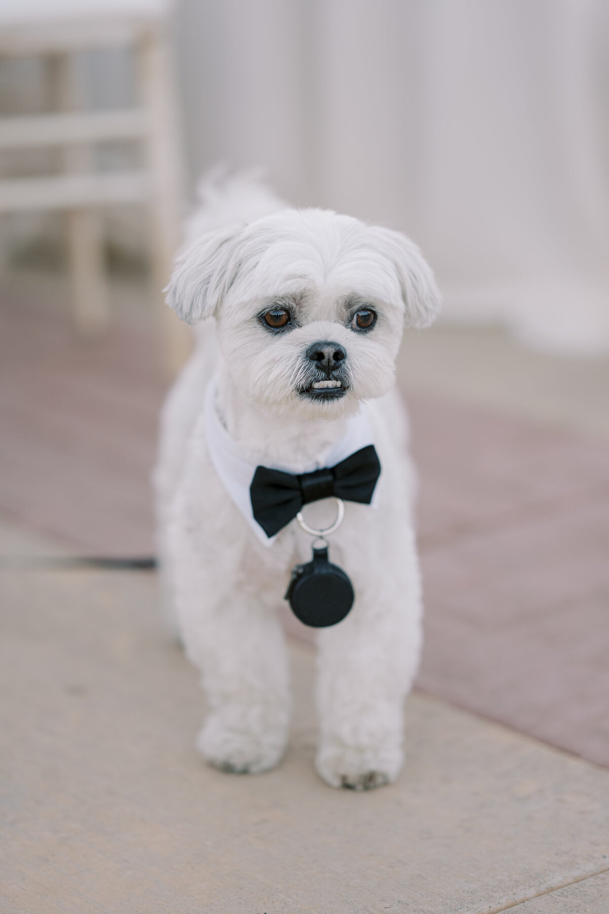 Yin Ranch Wedding Photo-95