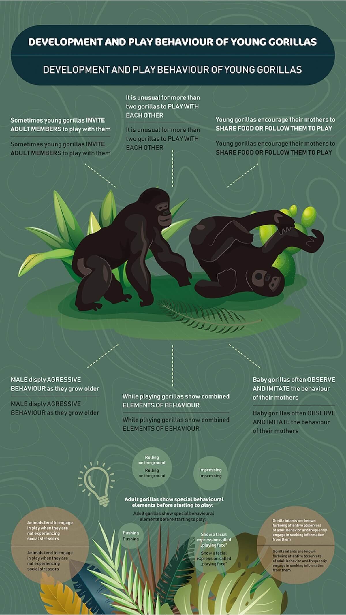 gorilla family-05