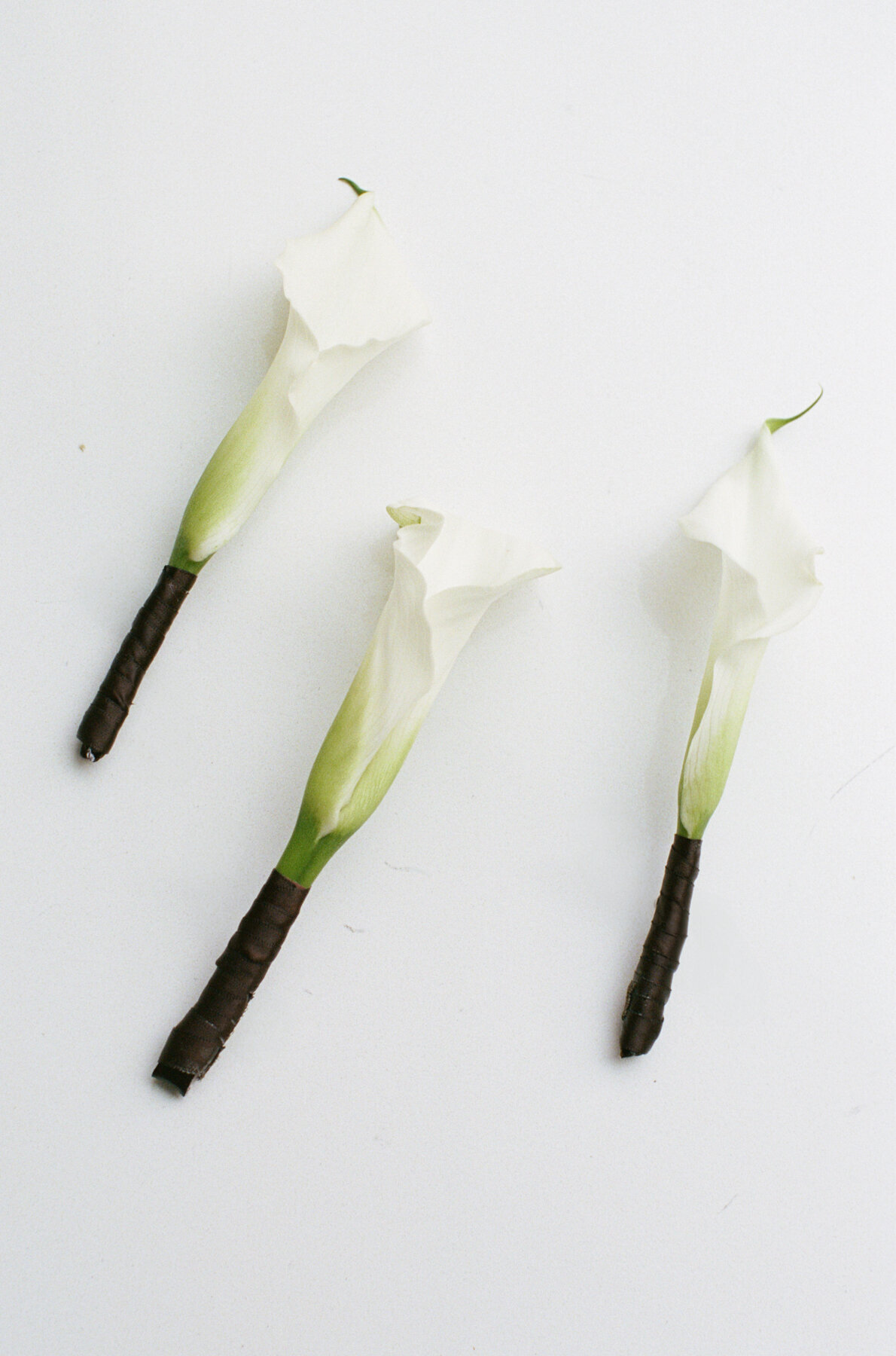 New York Wedding Photographer (11 of 200)