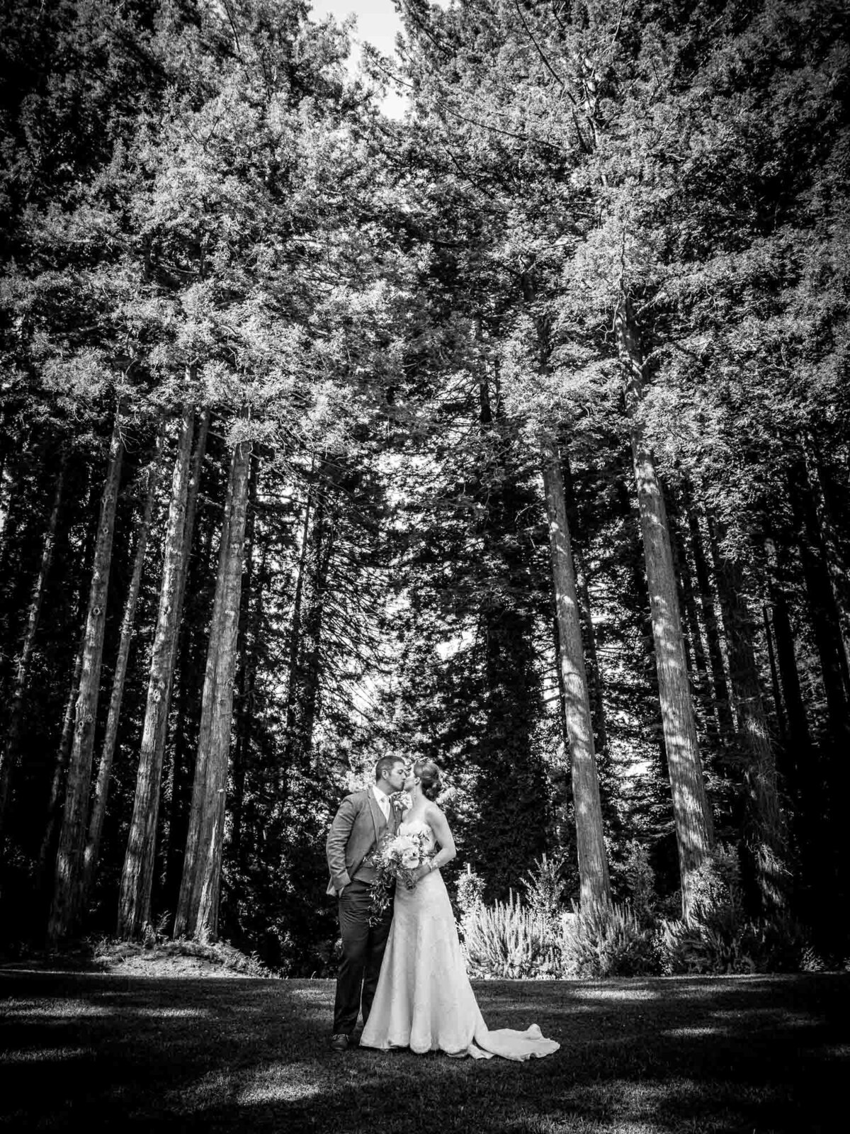 San-Francisco-Bay-Area-Weding-Photographer-Frank-J-Lee-Photography-KC.---15