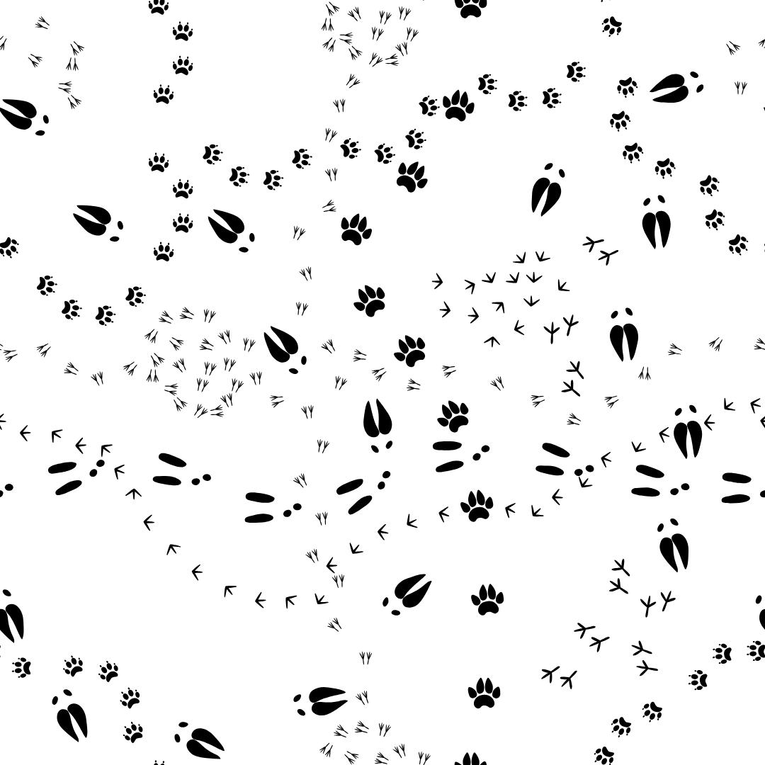 An array of farm animal tracks running all over the page. 