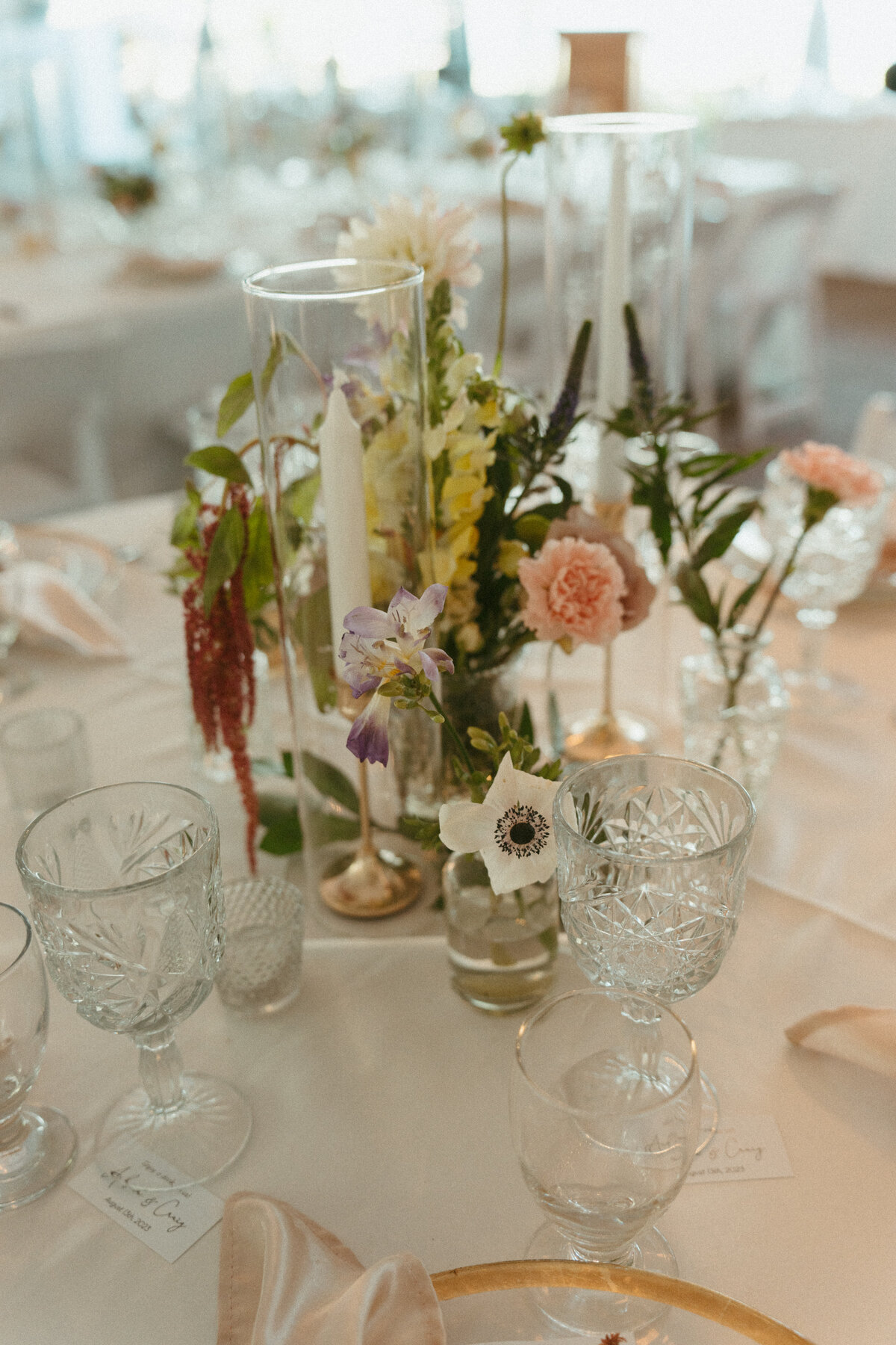 fraservalleywedding-497