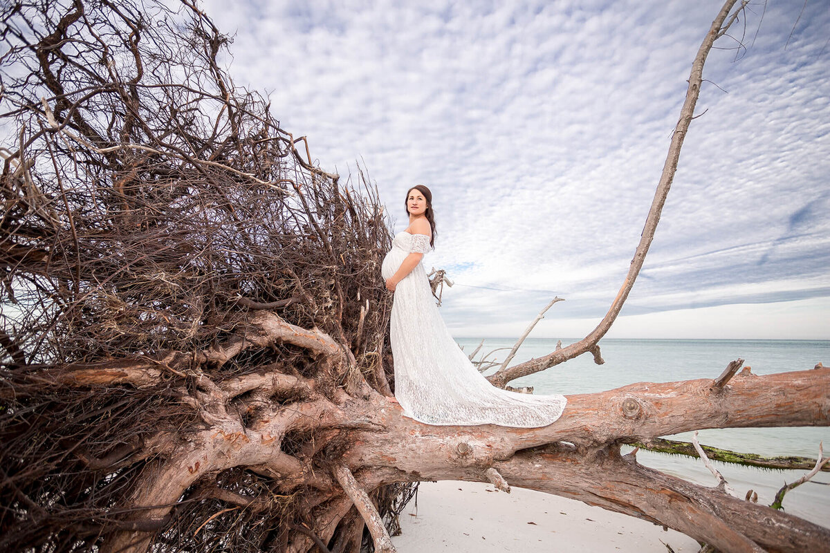 Beach maternity session with woman in white dress posed on large driftwood tree. Captured at Longboat Key Beach 
