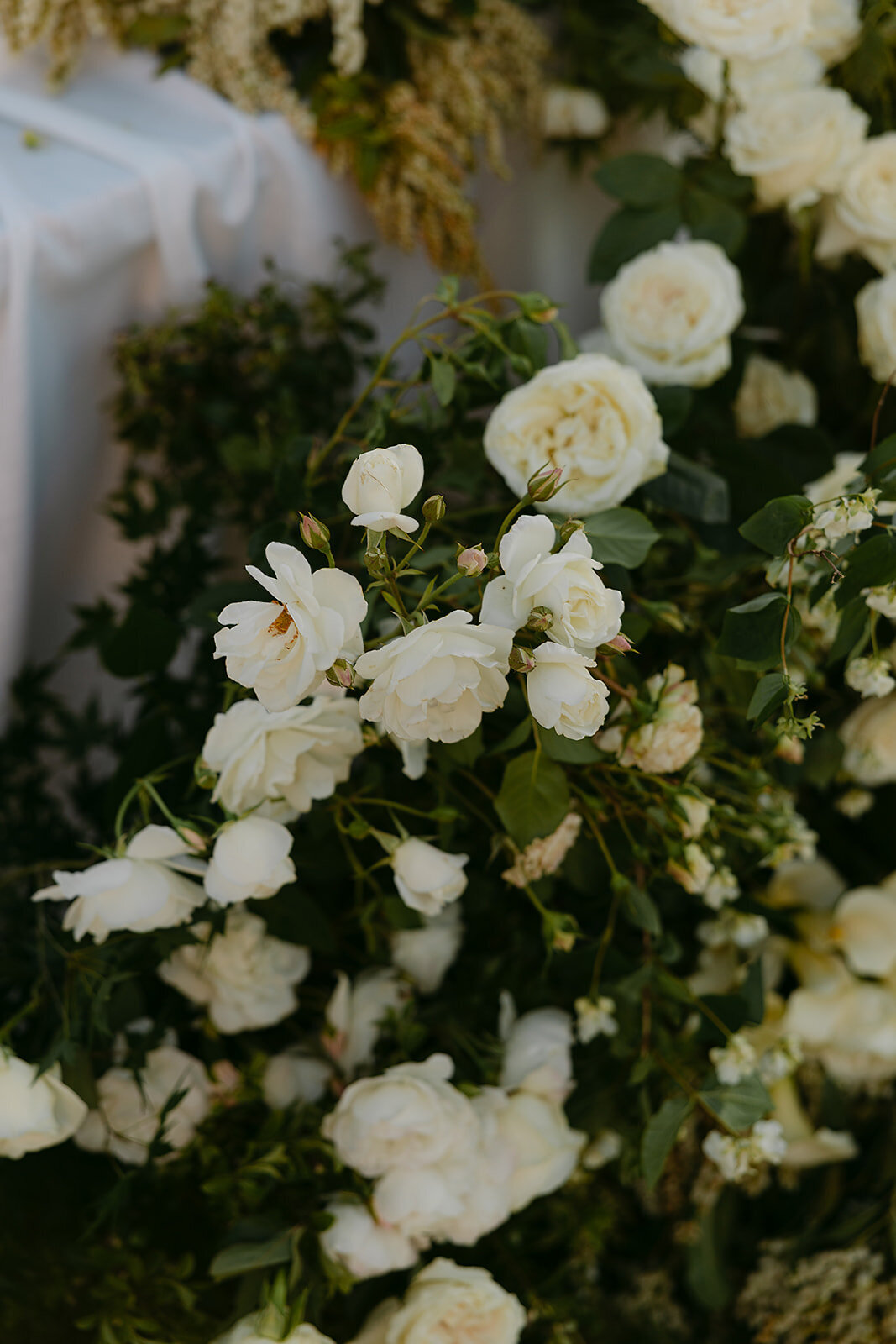 Brolga Hill Estate x Ashleigh Haase Photography-121