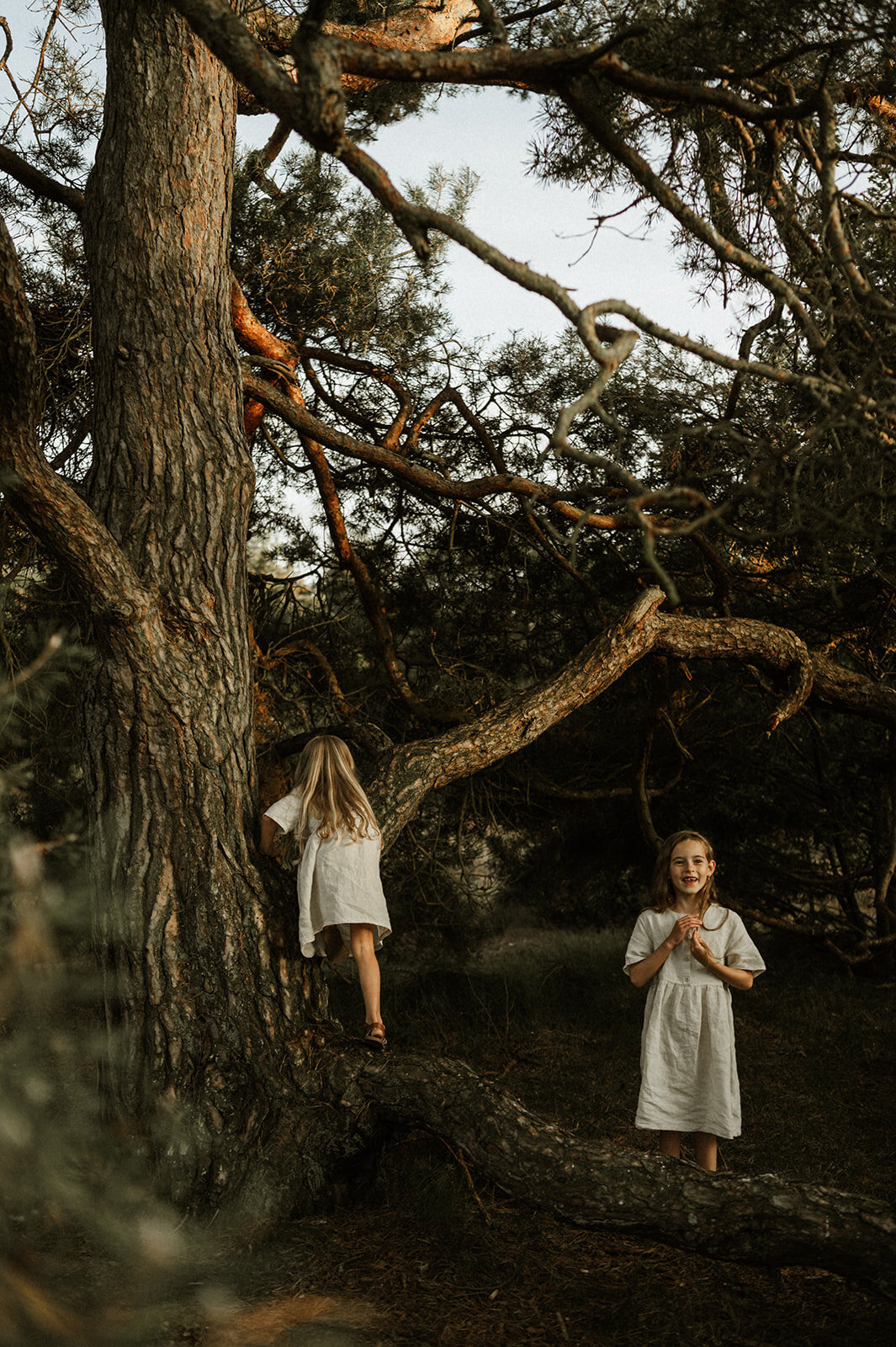 Gezinsfotografie in Nijlen tijdens golden hour – pure, spontane momenten vastgelegd in de heide.