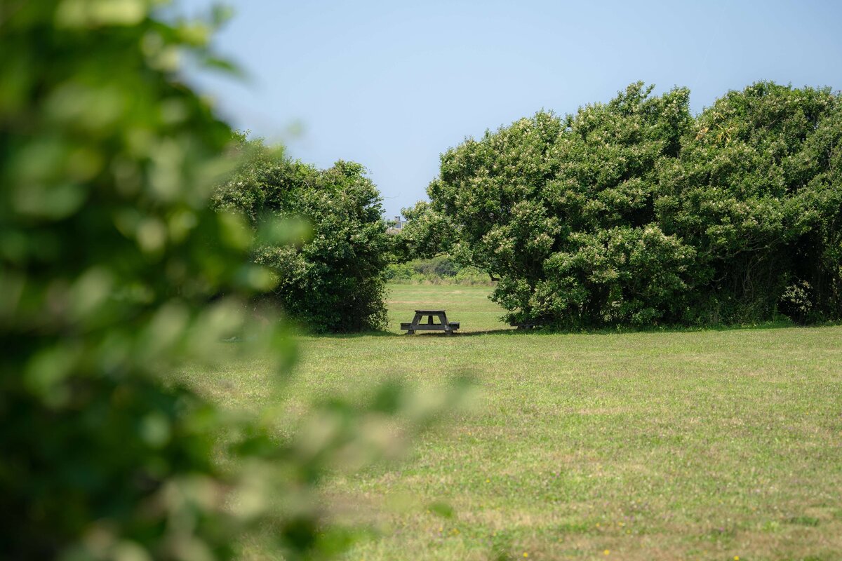 meredith-ewenson-rhode-island-nature-newport-brenton-point-state-park-picnic