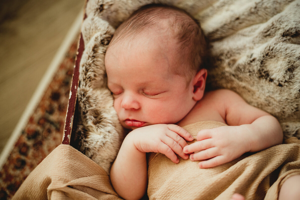 newborn session