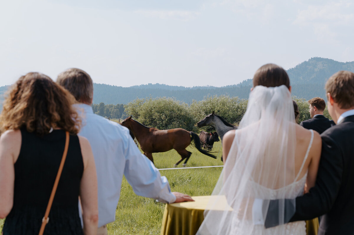 maggie-and-kinsly-diamond-cross-ranch-wedding-469