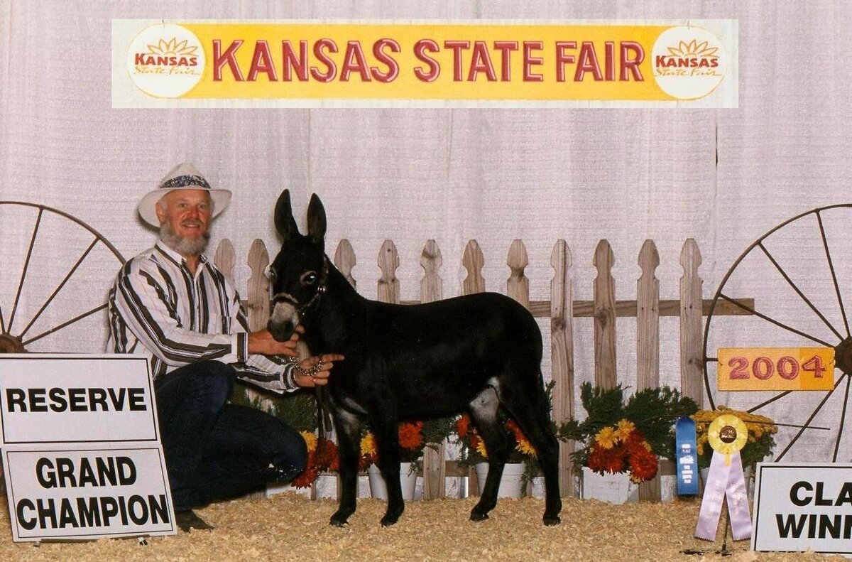 Treasure 2004 KS Reserve Champion
