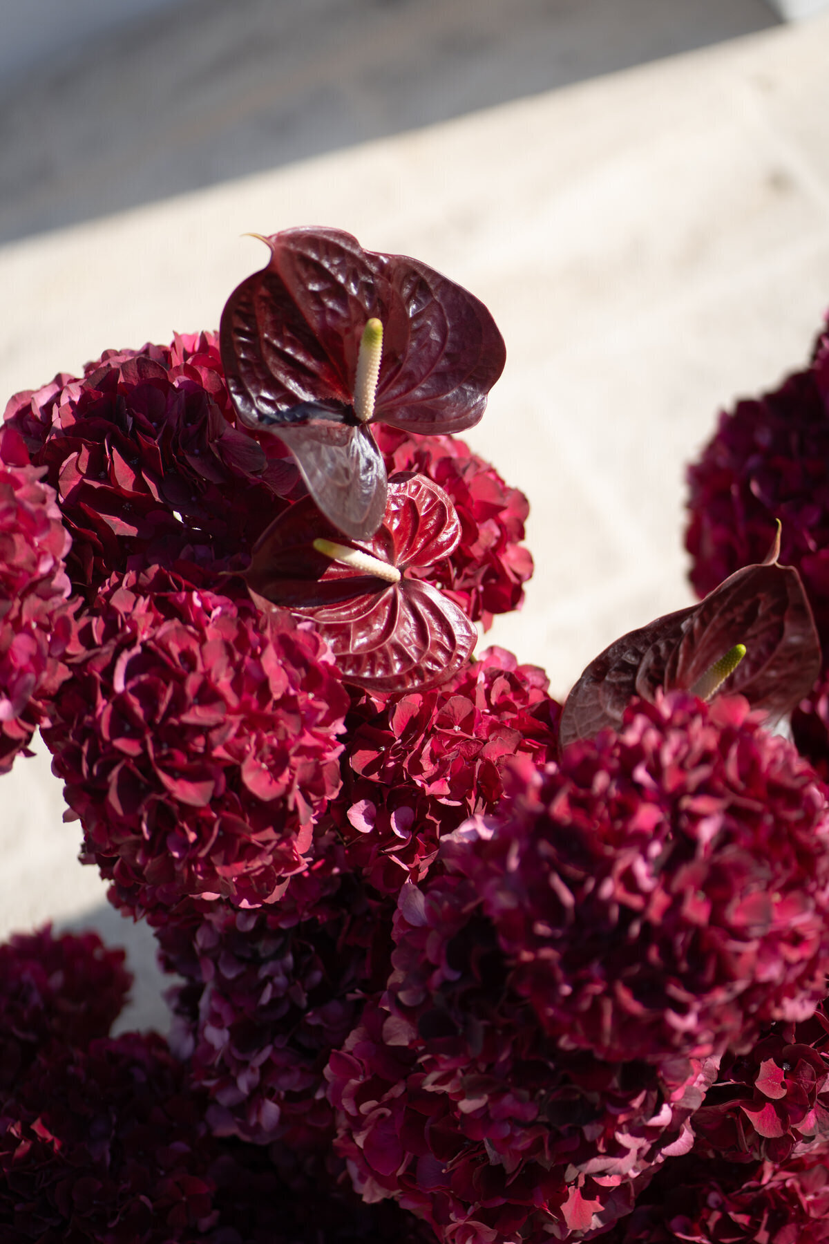 110 - Jesse and Spencer x klassen weddings x Masseria Borgo Ritella_0393