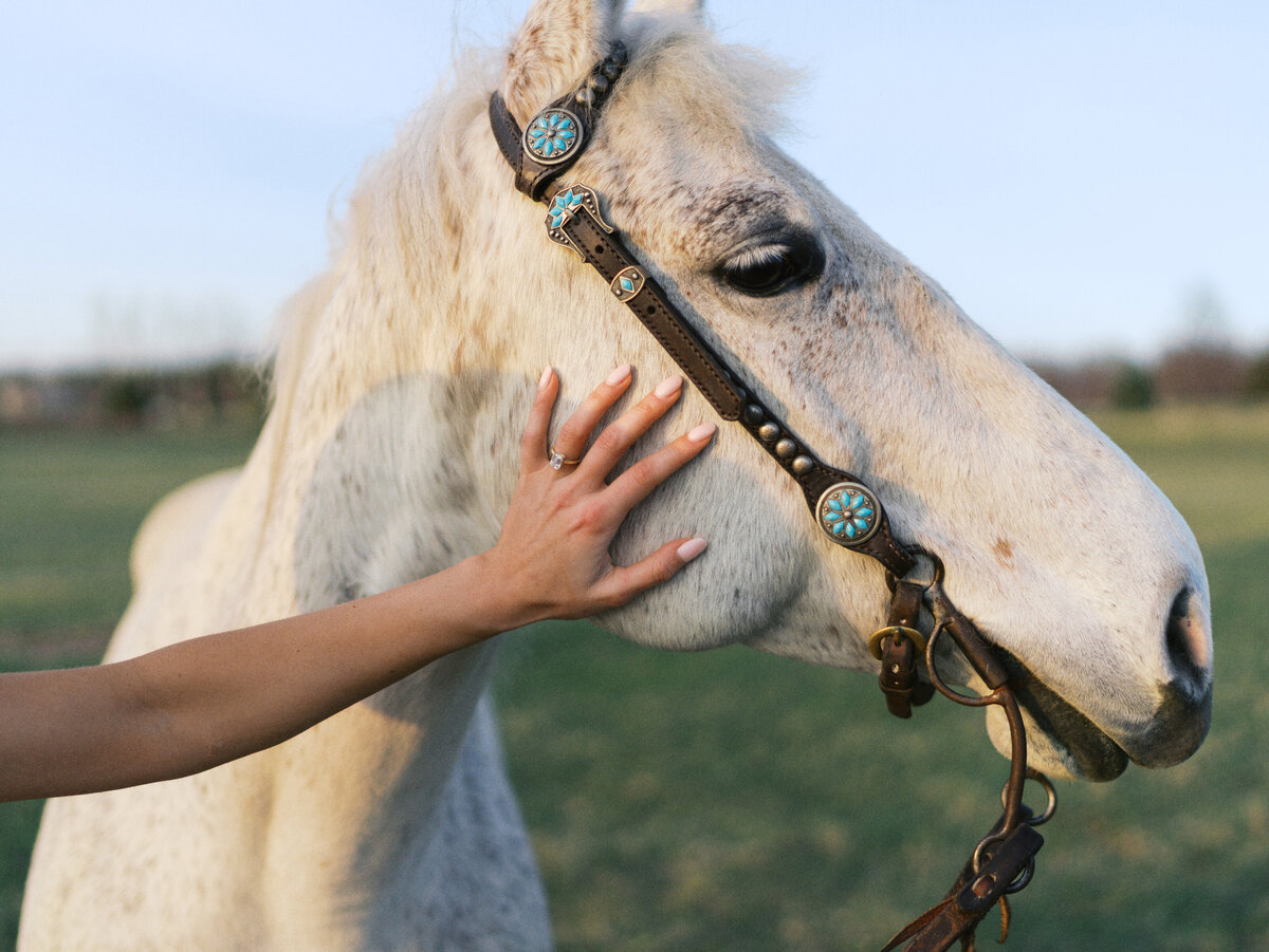 engagement-ring-hand-on-horse