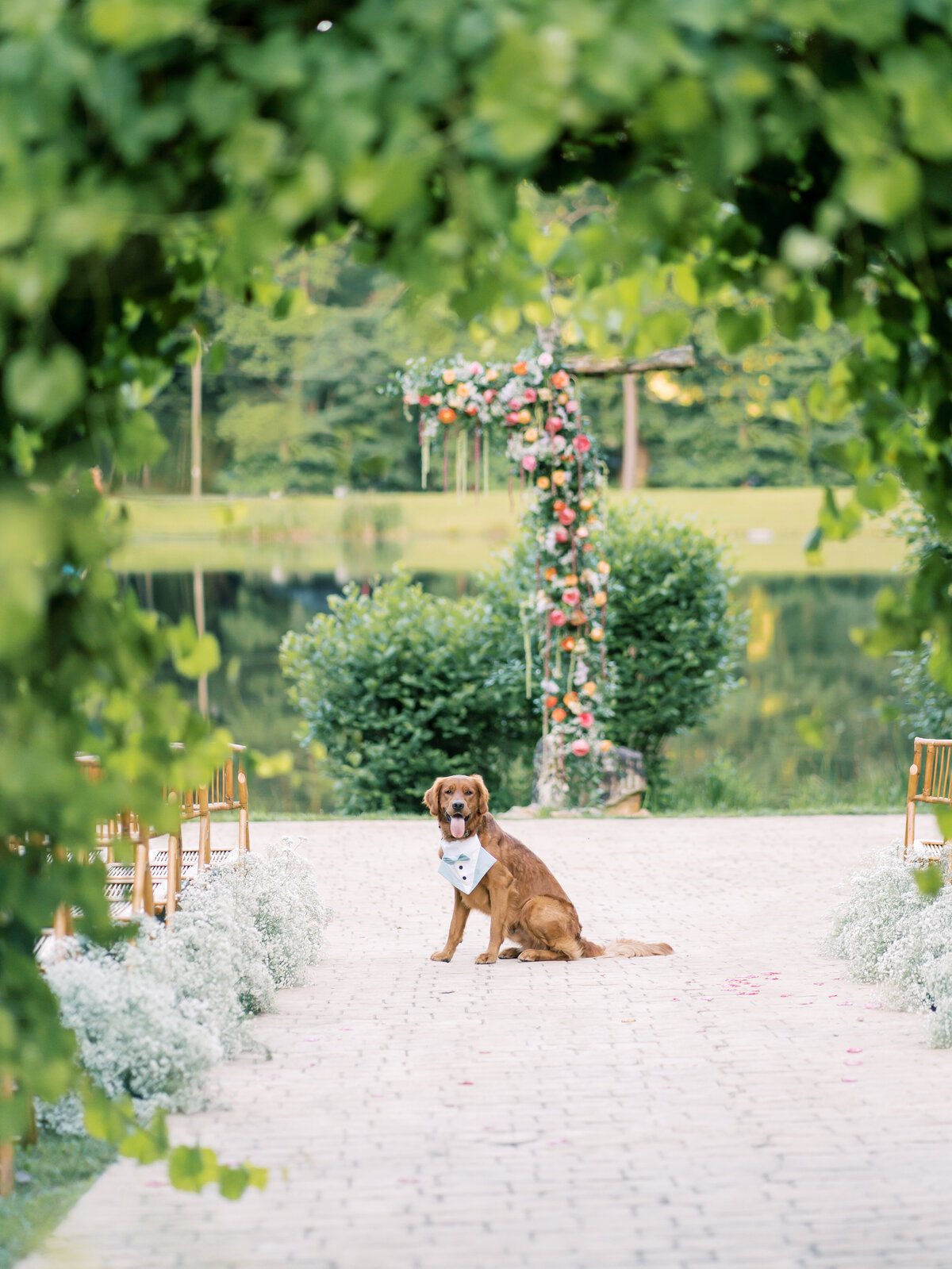 TheMillerWedding-103