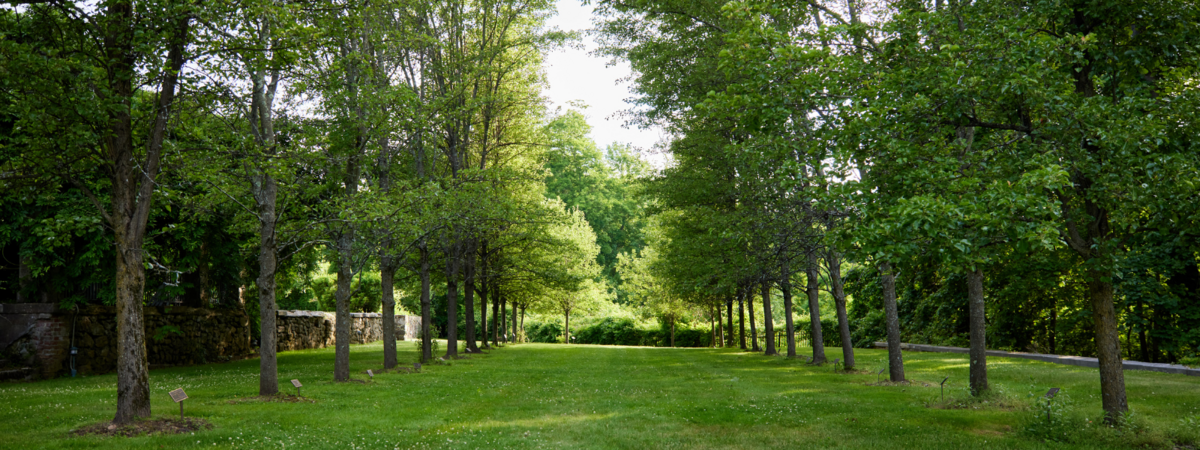 temple-shaaray-tefila-ny-event-space-2