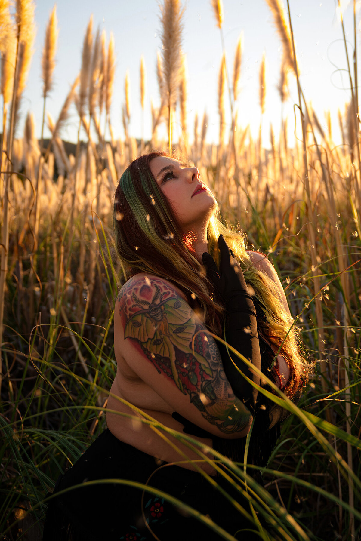 pacifica-pampas-grass-field