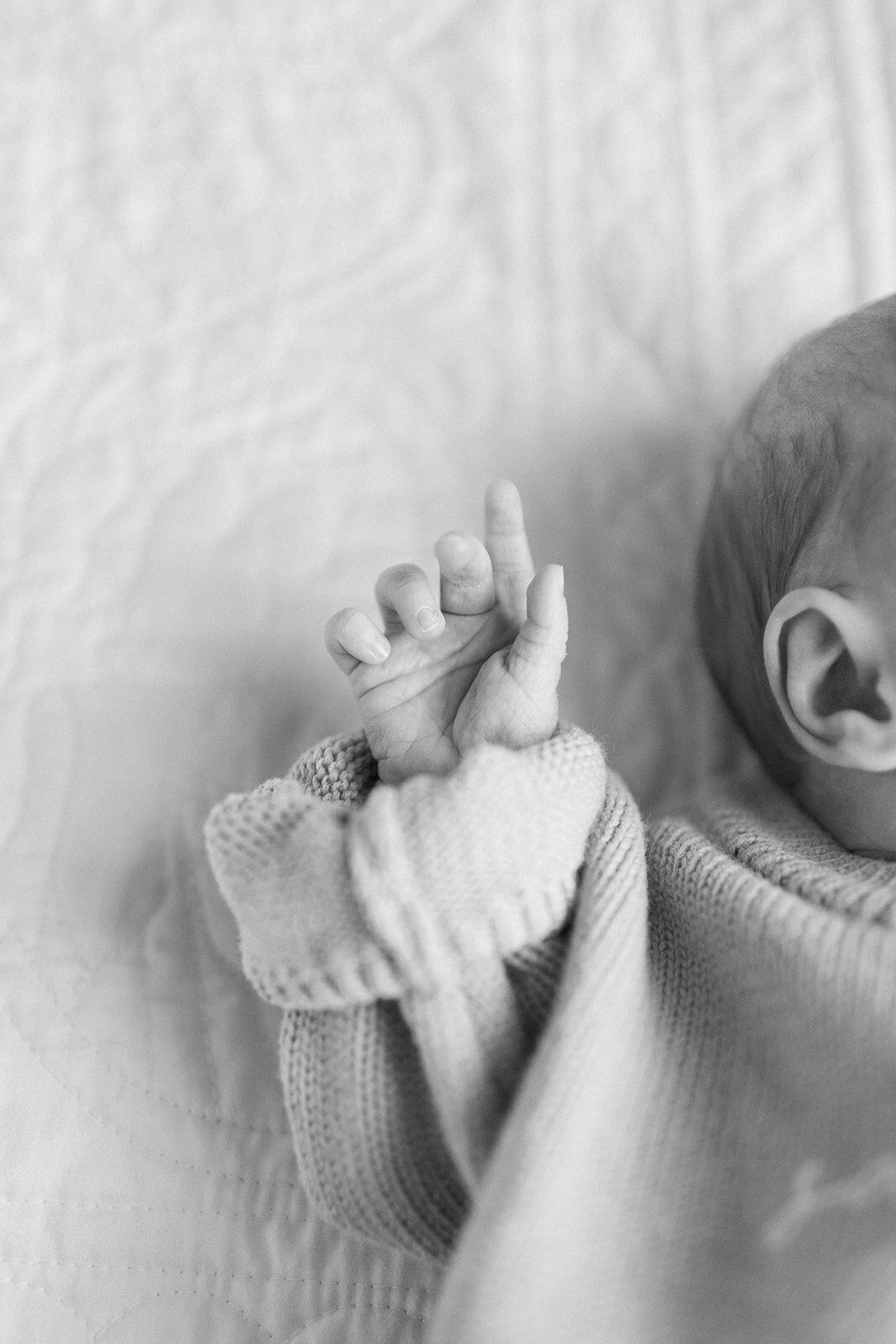 Alexis Fox Photography + newborn session + Muncie + Indiana  (7 of 51)