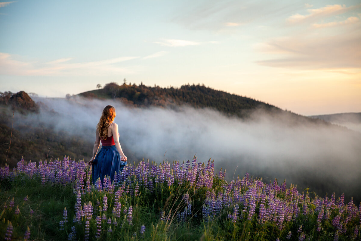 Woman holds her skirt in a hazy mist surrounded by lupine wildflowers in the Bald Hills of Redwood National Park in Humboldt County
