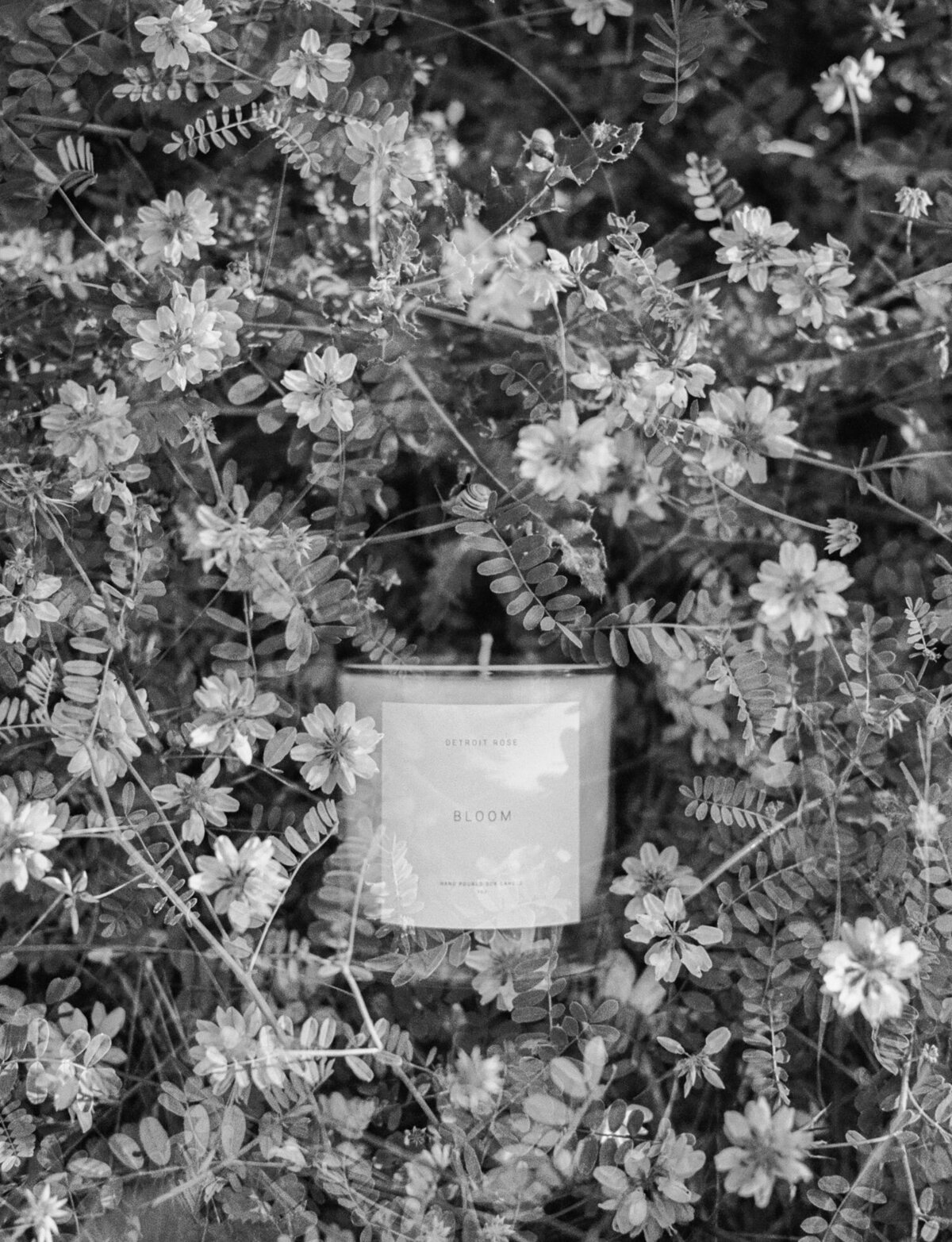 black and white candle photography, candle among flowers, floral scent photo