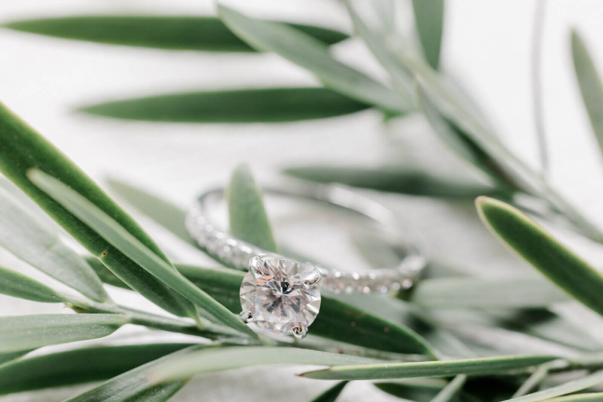 Wedding portraits captured by Vanessa Montano Photography – Livermore vineyard at sunset.