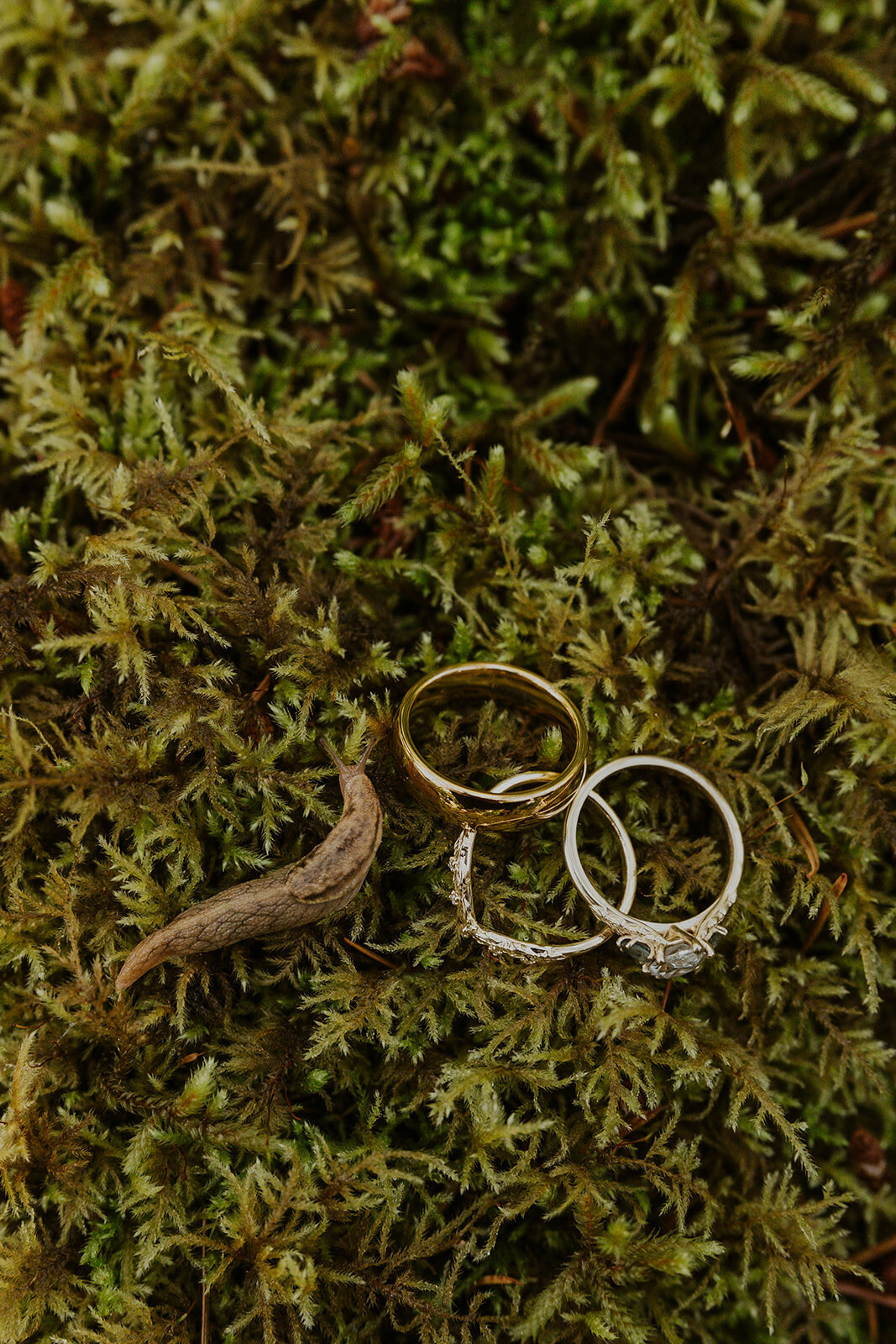 olympic-national-park-elopement-photographer-venturing-vows-9
