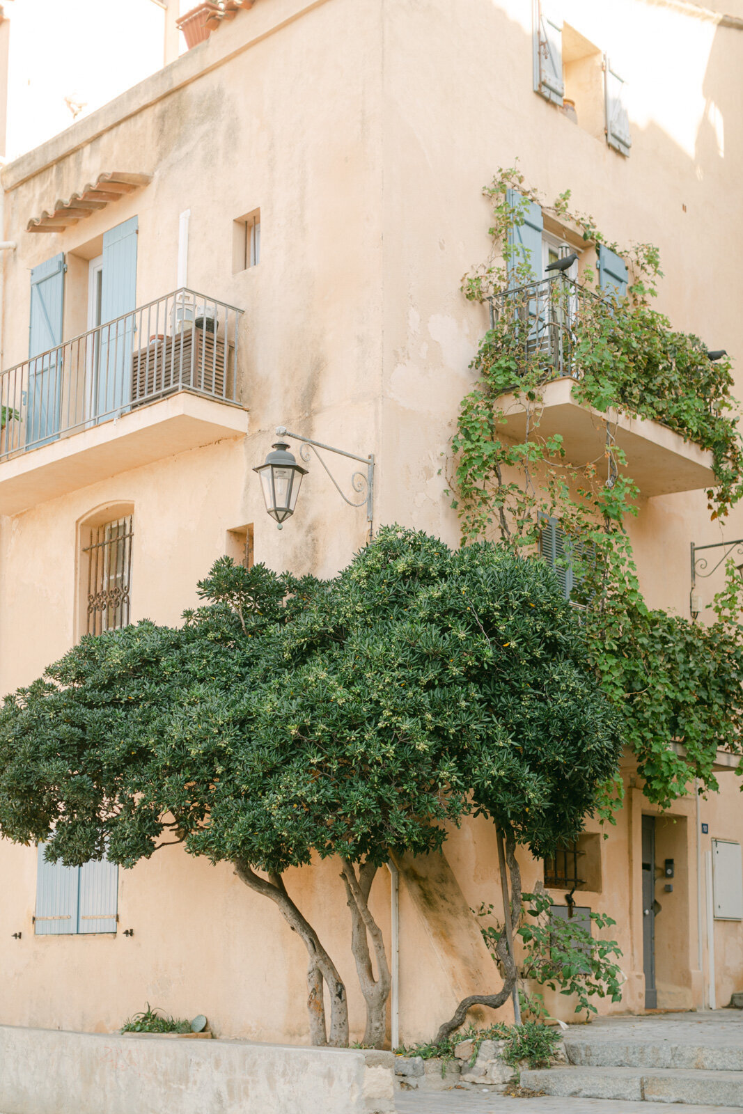 Honeymoon St Tropez (1 sur 205)