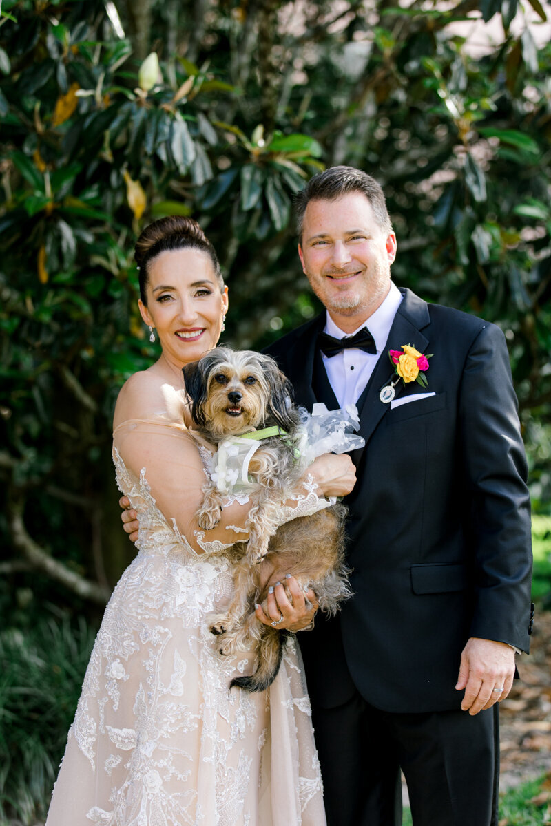 bride and groom with puppy on wedding day