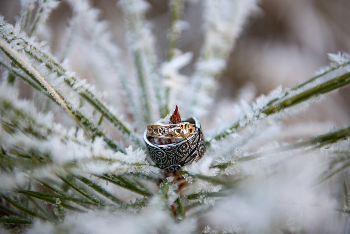 Elopement in Yosemite National Park079