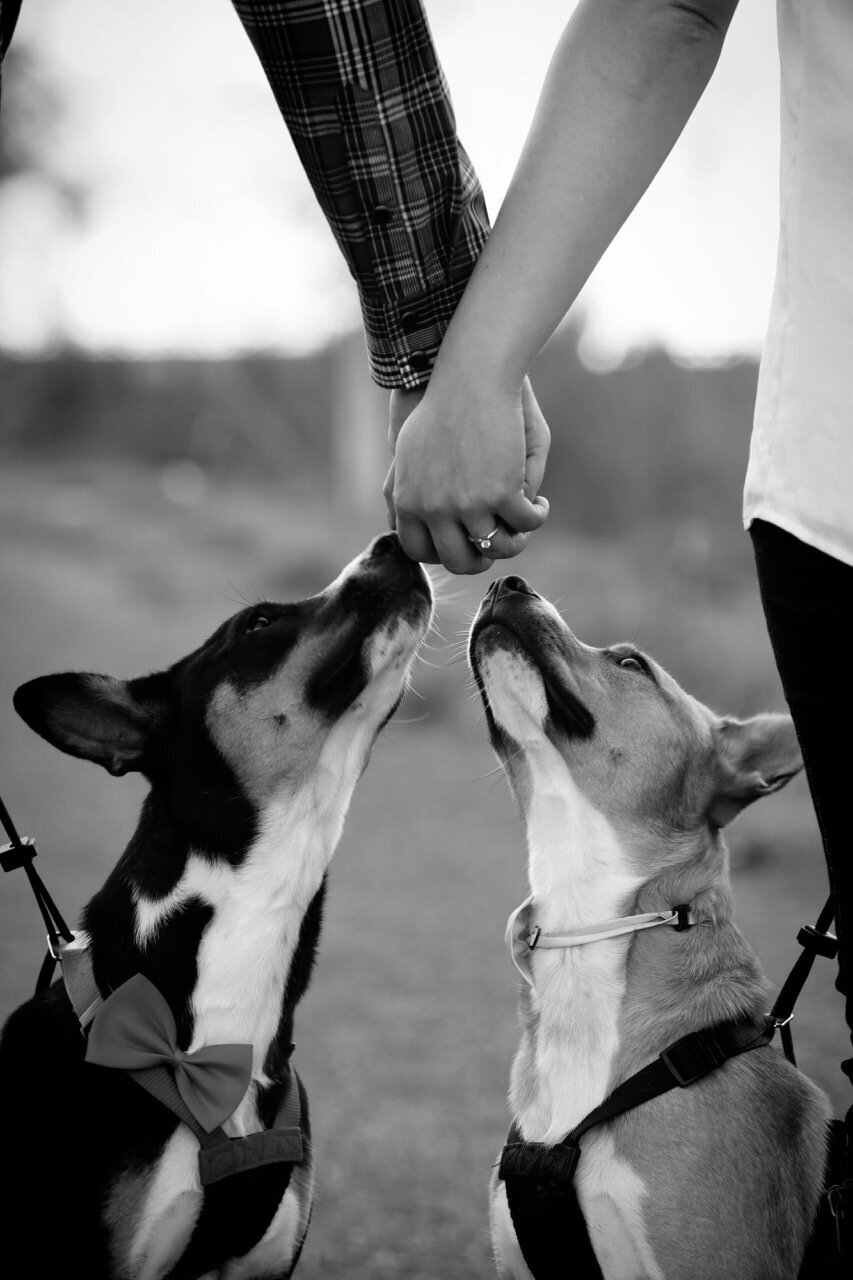 9-couples-love-marriage-wedding-engagement-orange-county-lauren-ford-photography.