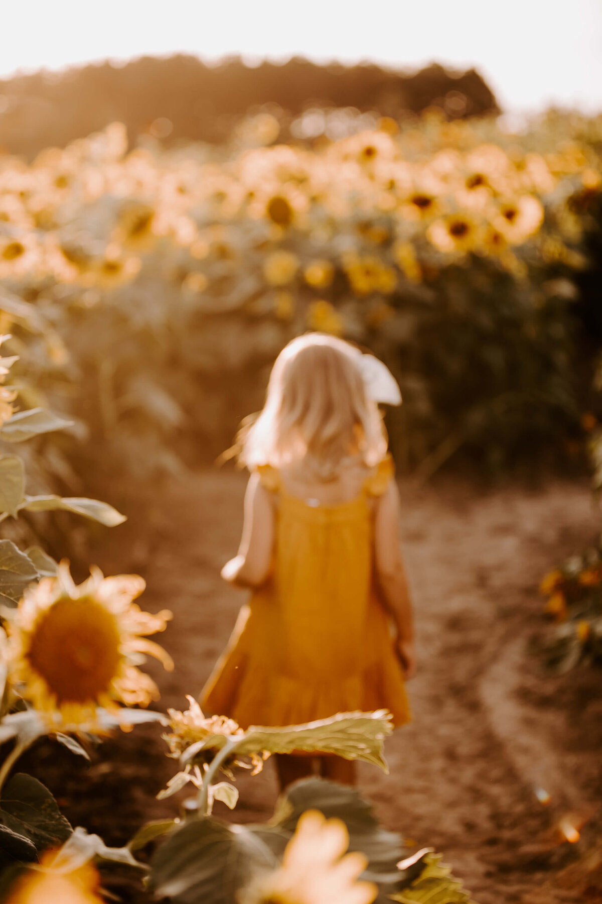 Sunflower-Field-Mini-Session-Family-Photography-Woodbury-Minnesota-Sigrid-Dabelstein-Photography-Thompson-41