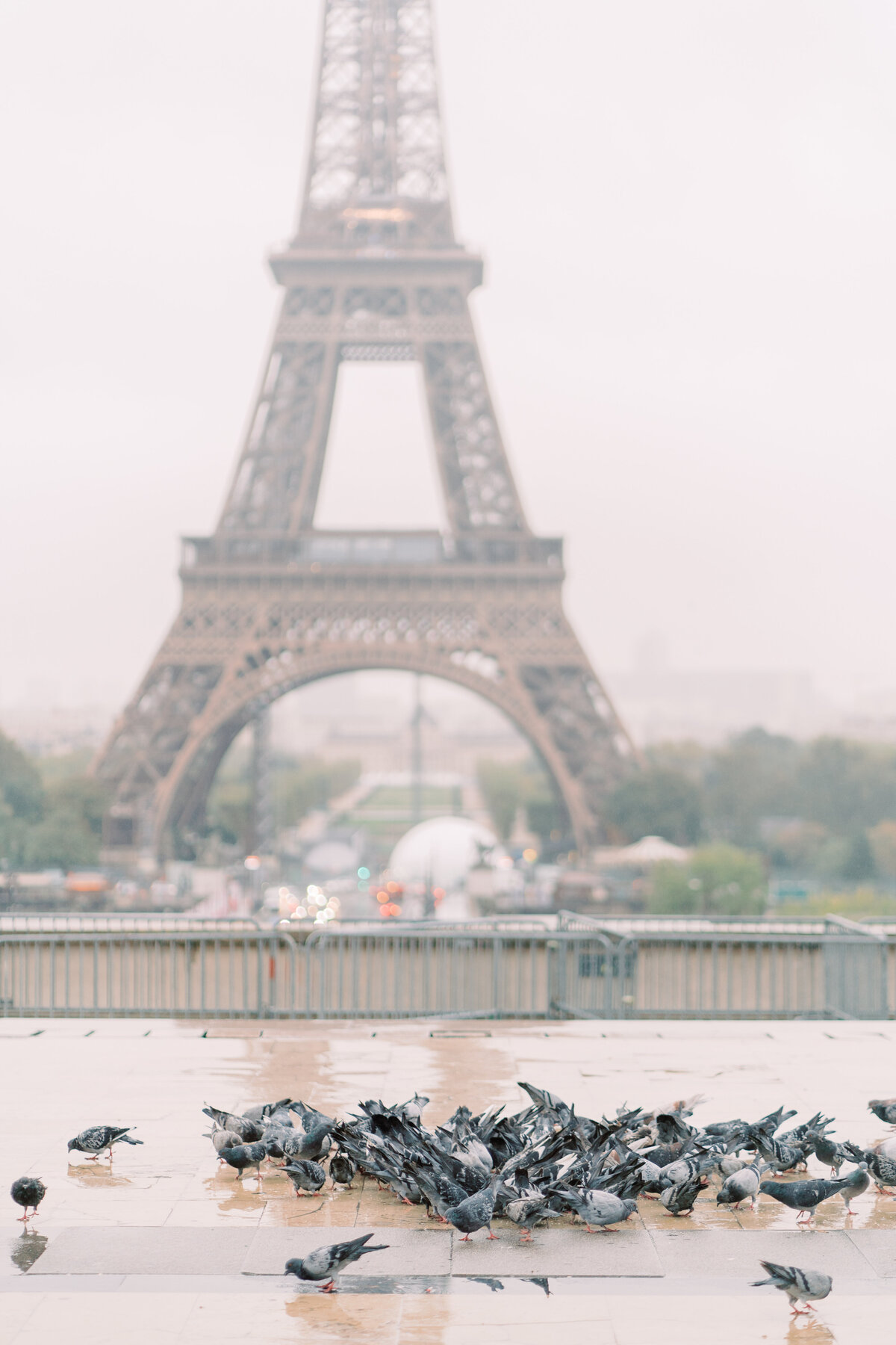 christine-grace-photography-france-french-couple-00002