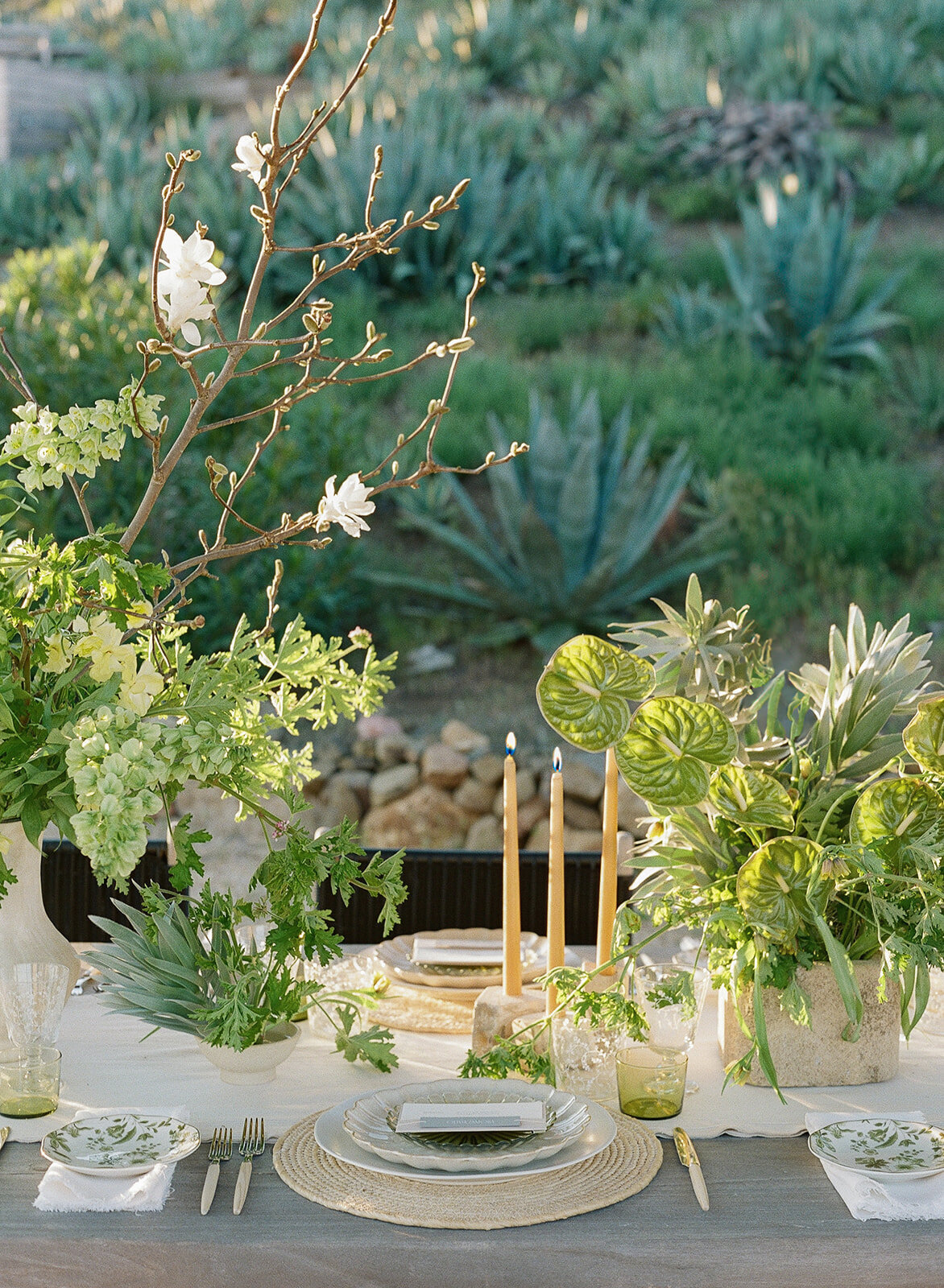Agave House Editorial-Liz Andolina-363_websize